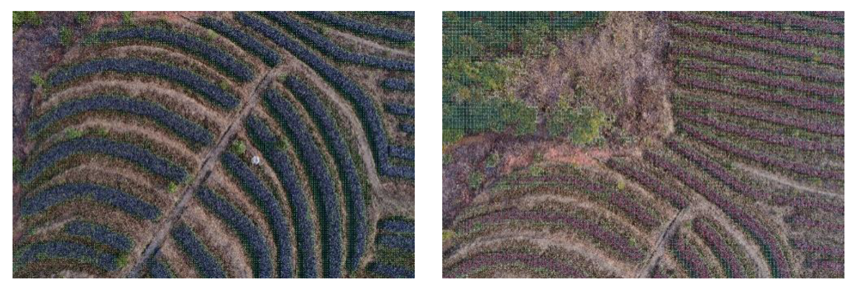 Agriengineering 04 00017 g013