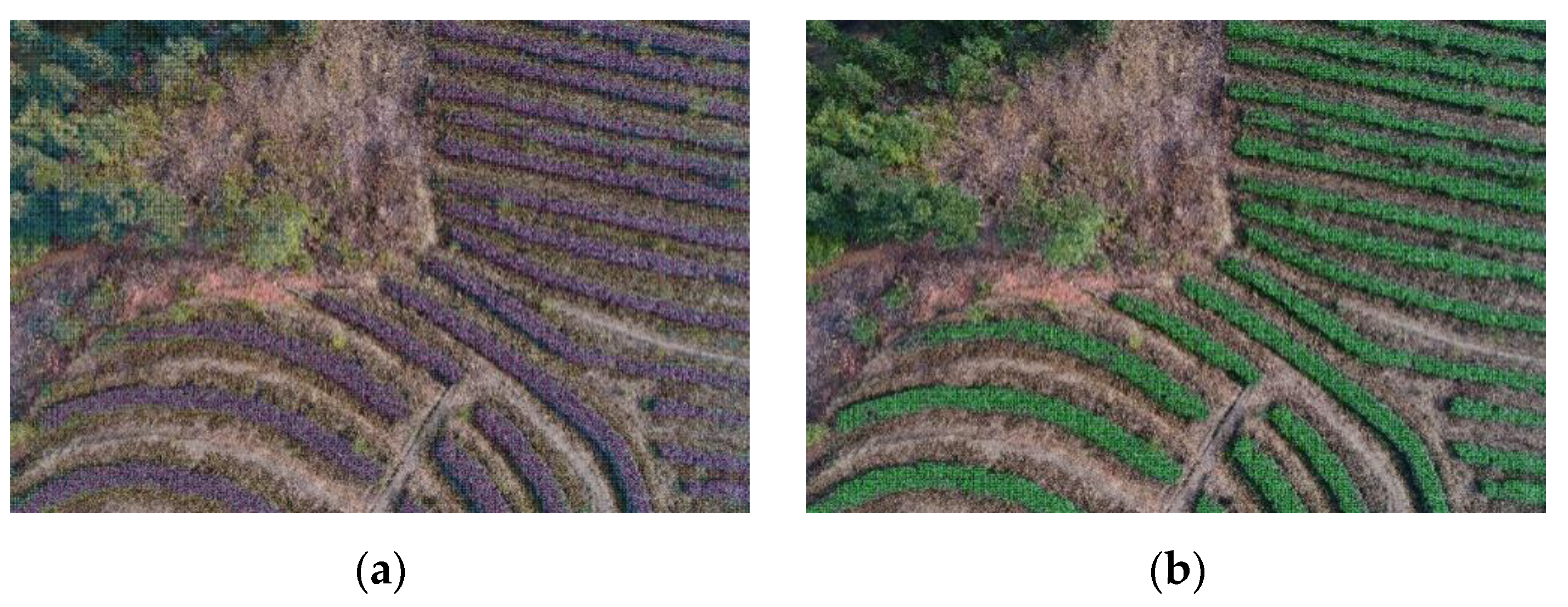 Agriengineering 04 00017 g014a