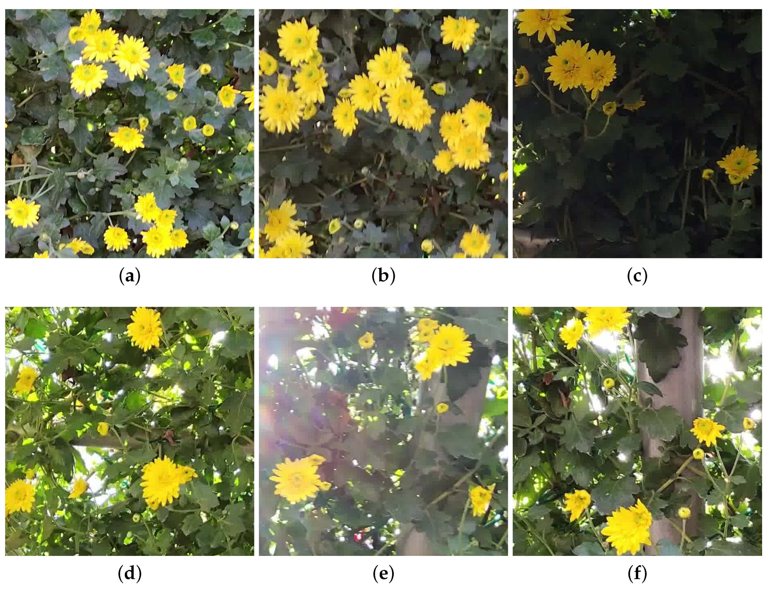 Agriengineering 05 00094 g004