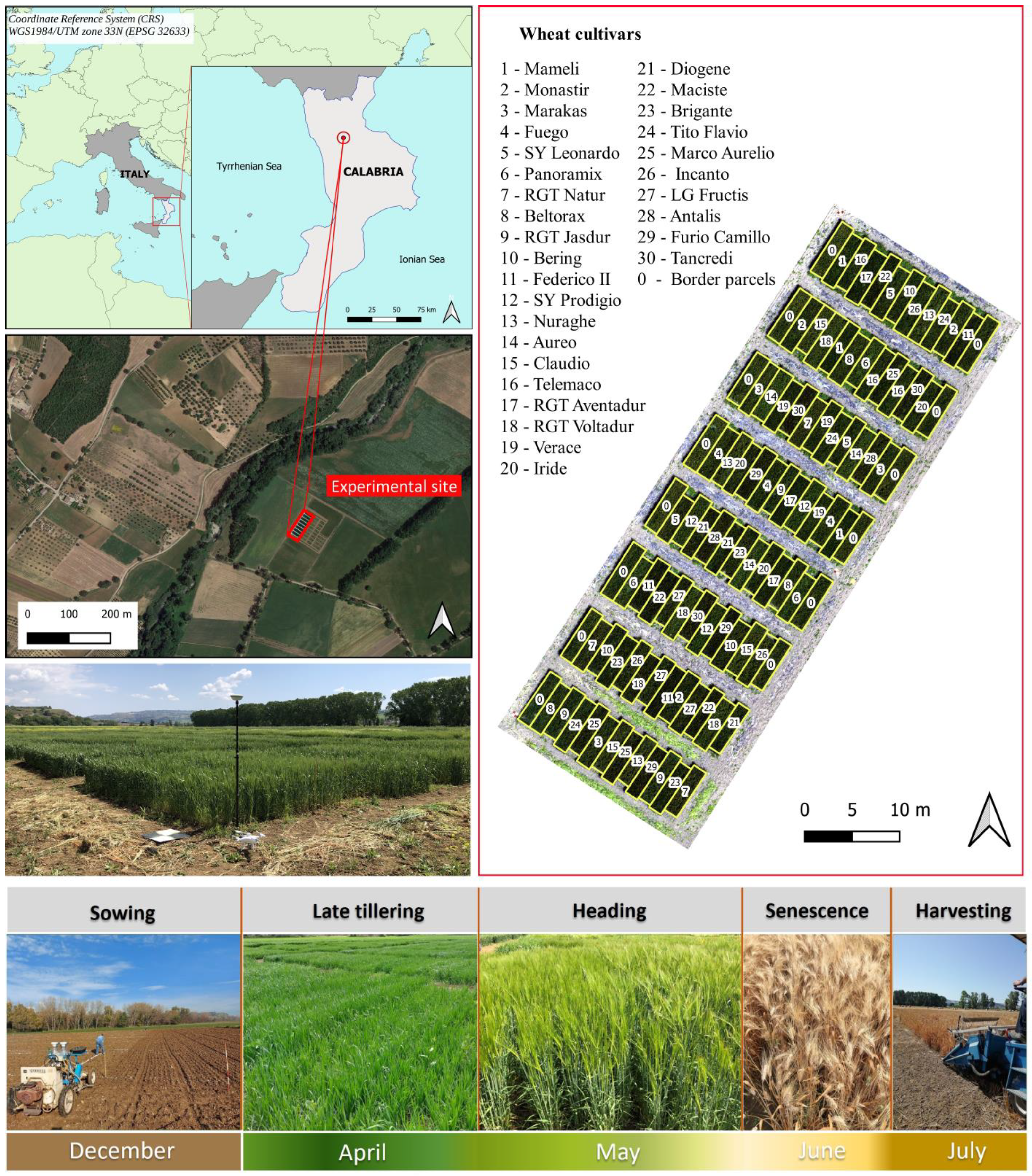 AgriEngineering | Free Full-Text | Multispectral Vegetation Indices and  Machine Learning Approaches for Durum Wheat (Triticum durum Desf.) Yield  Prediction across Different Varieties
