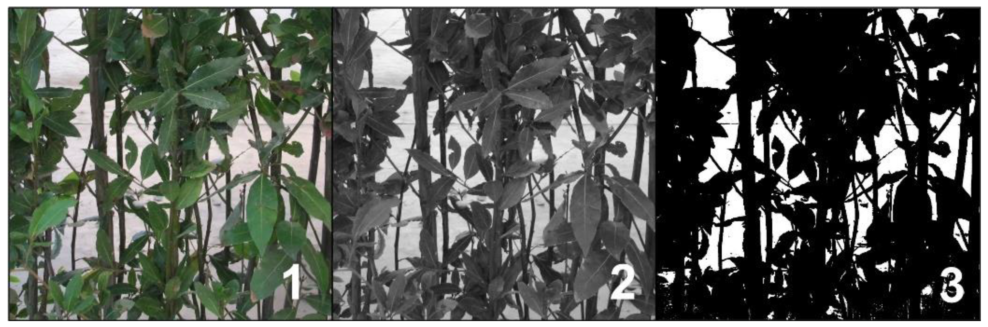 Agriengineering 06 00014 g003