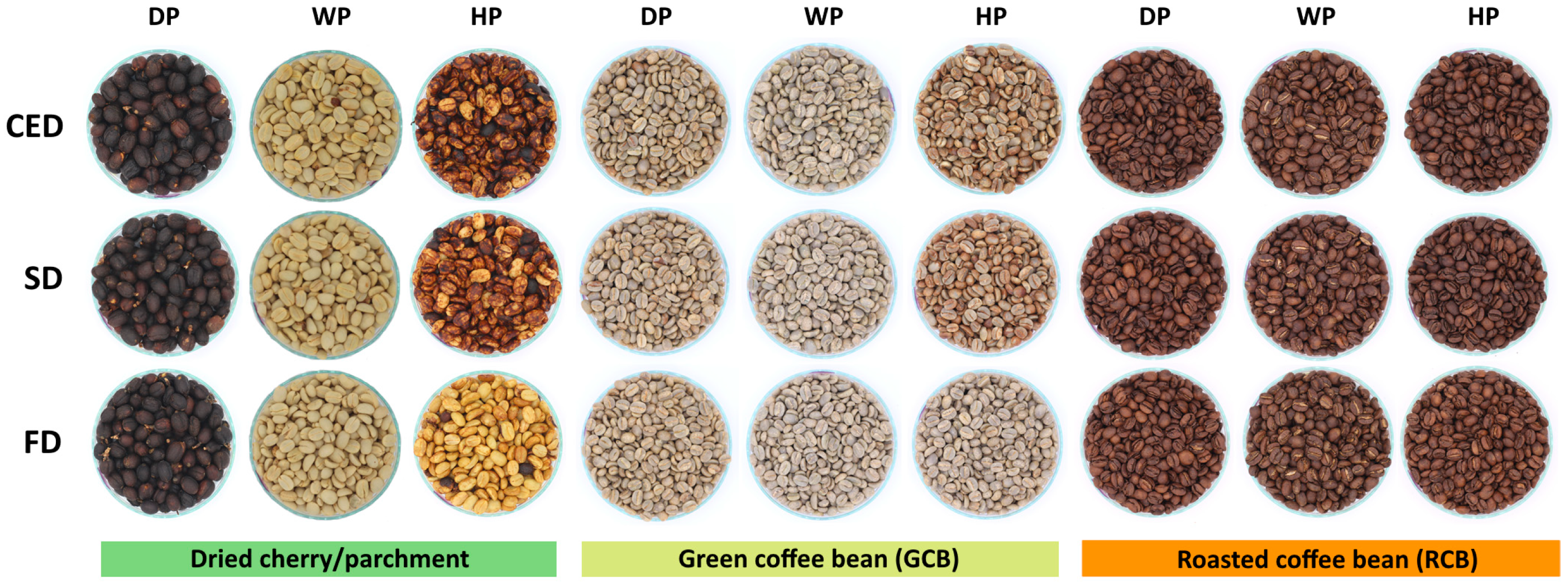 Agriengineering 06 00129 g002 Agriengineering 06 00129 g002