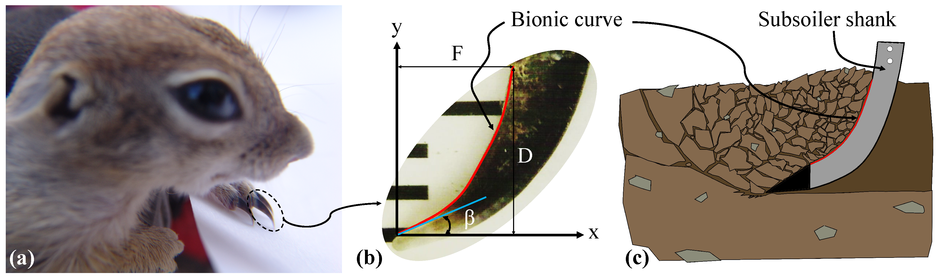 Agriengineering 06 00156 g001