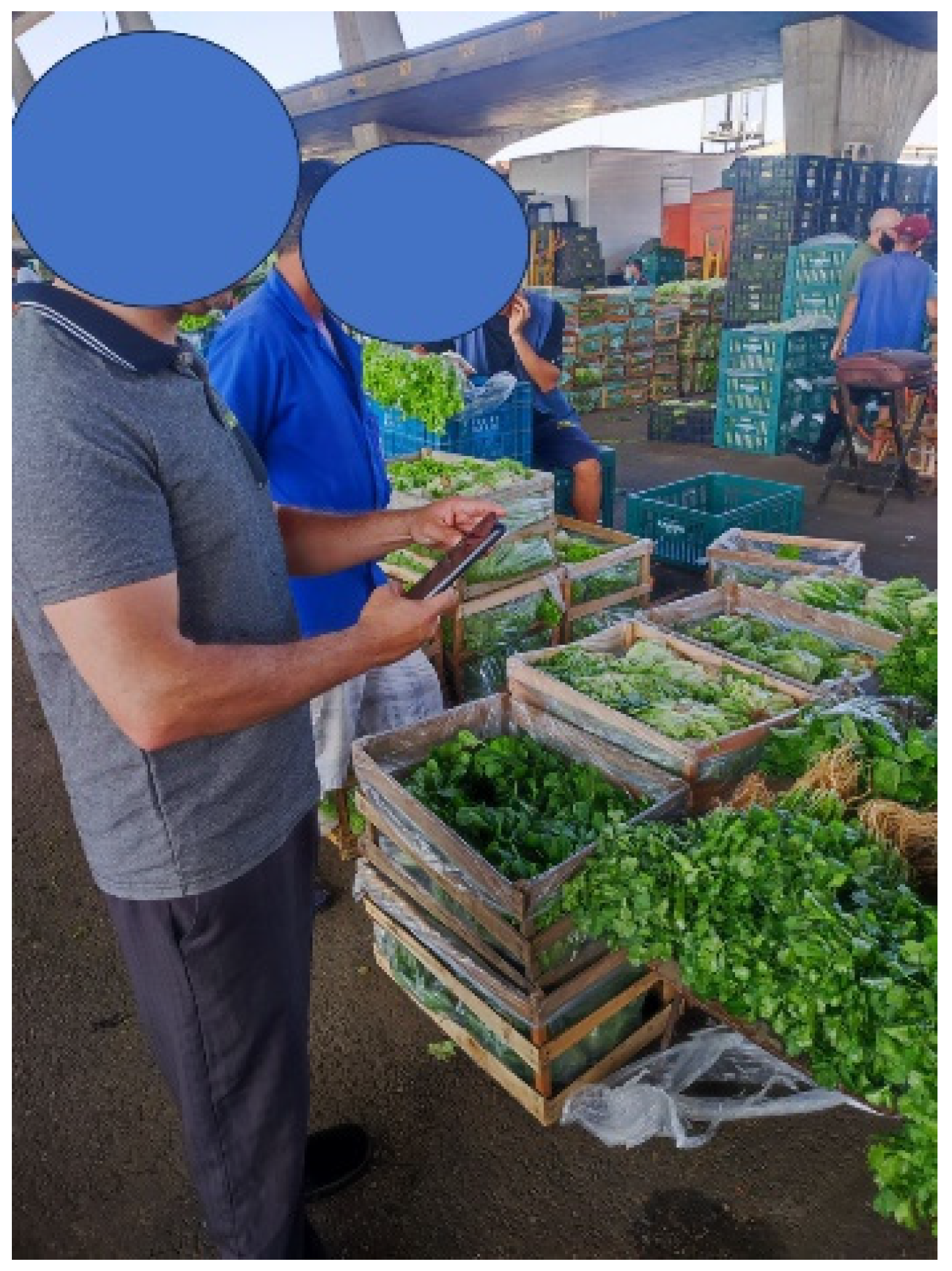 Agriengineering 06 00164 g011