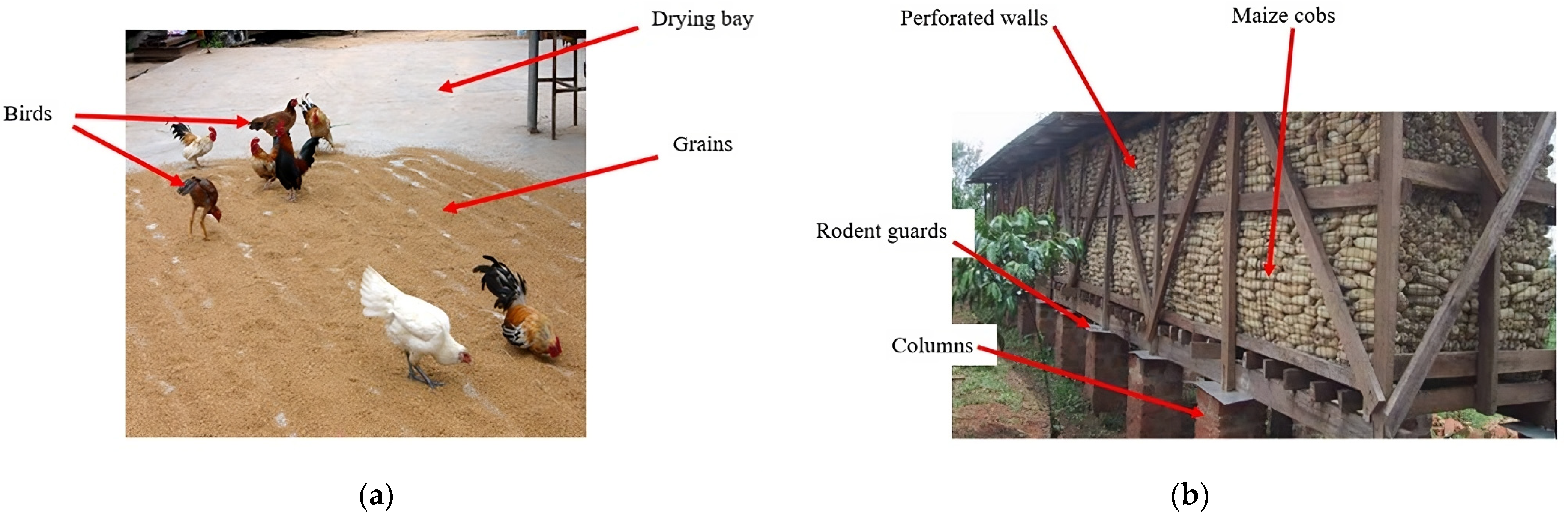 Agriengineering 06 00174 g003