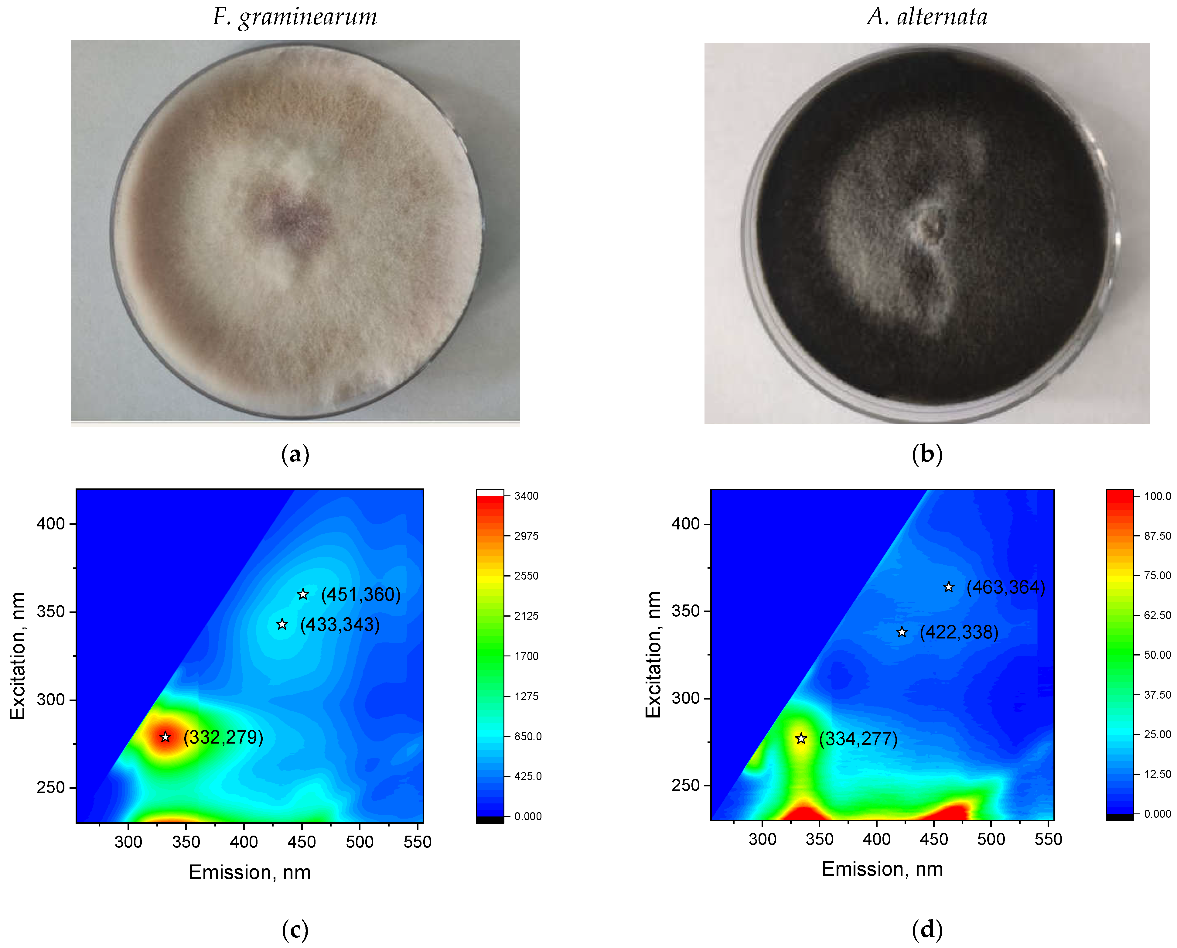 Agriengineering 06 00179 g002
