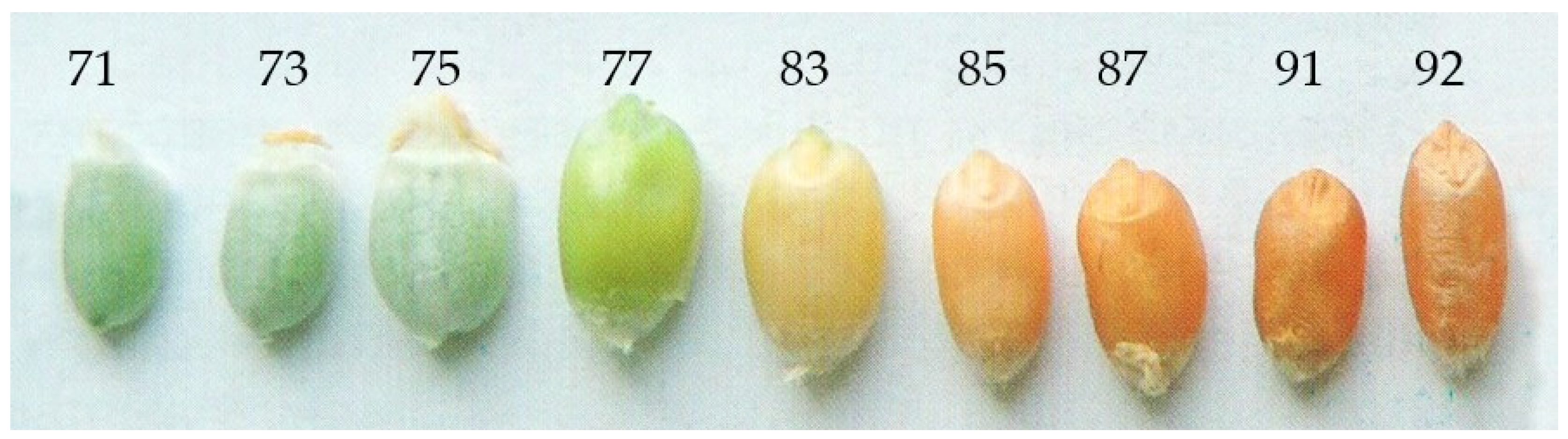Agriengineering 06 00180 g007