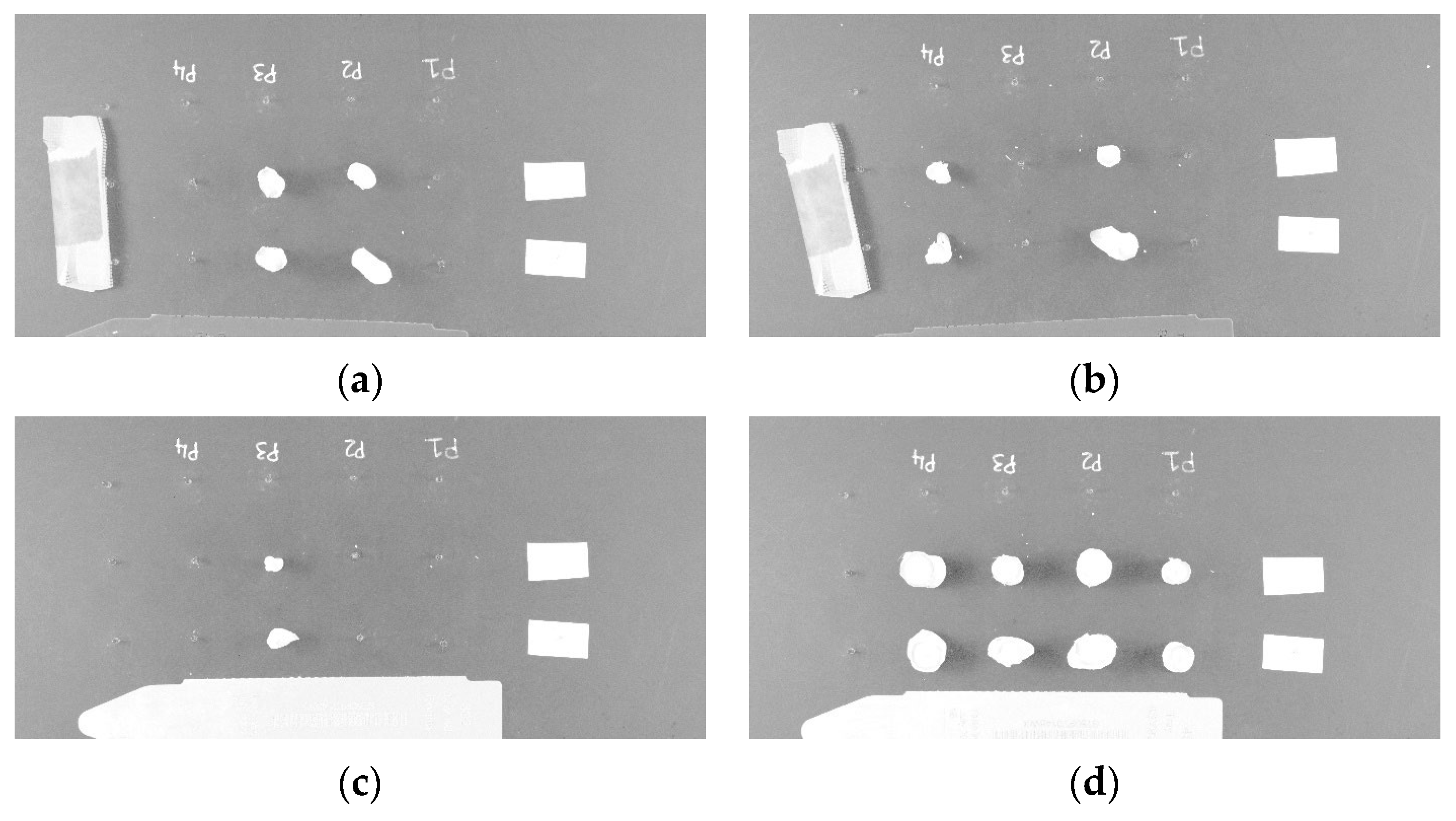 Agriengineering 06 00199 g003
