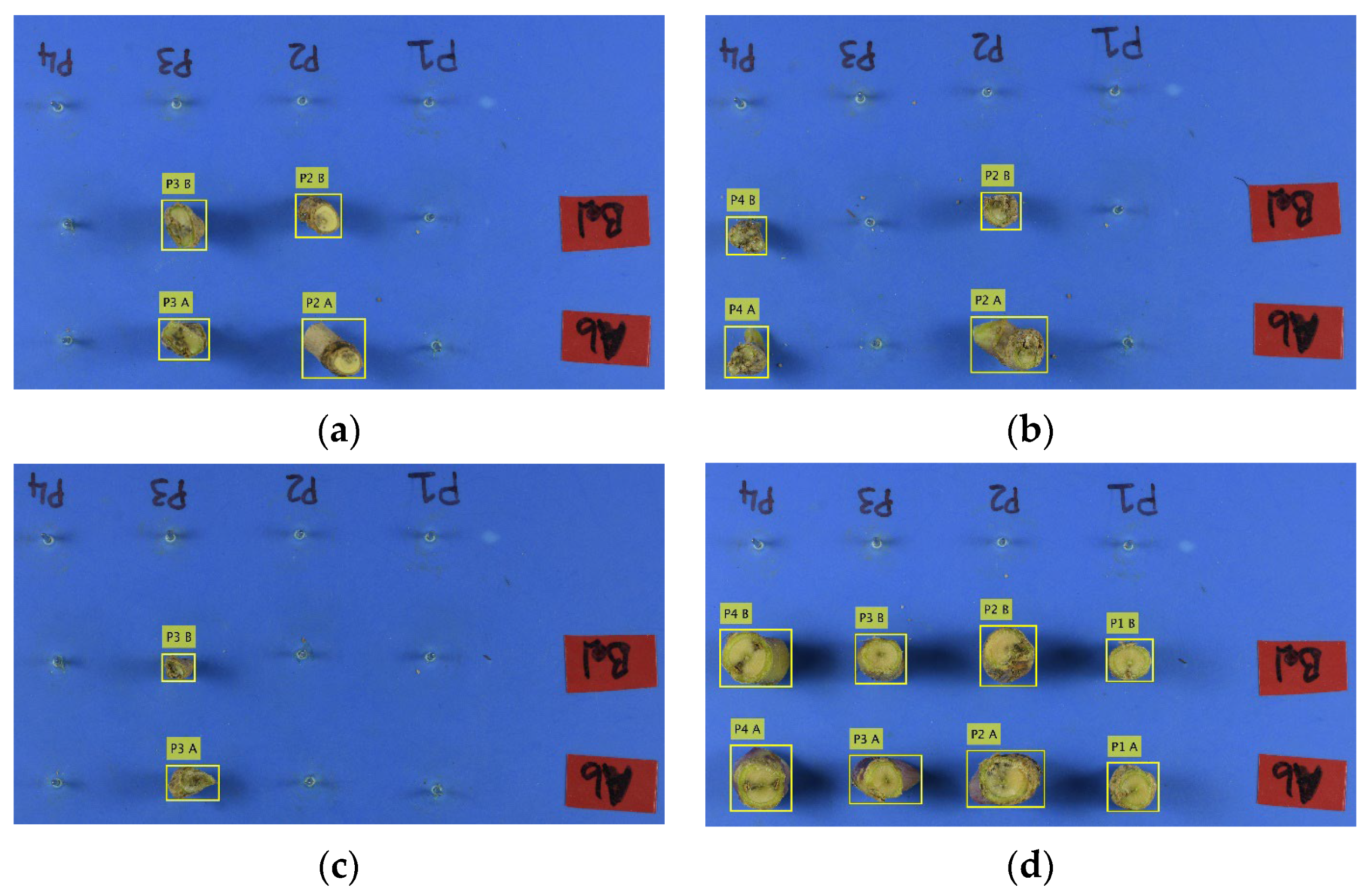 Agriengineering 06 00199 g007