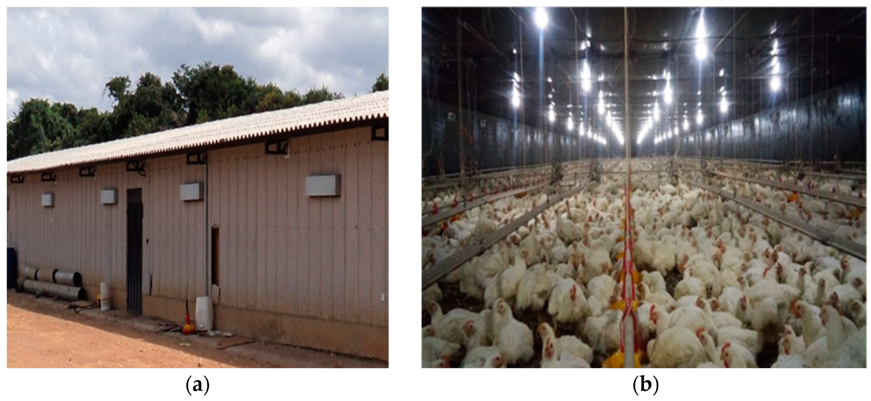 Agriengineering 06 00221 g001