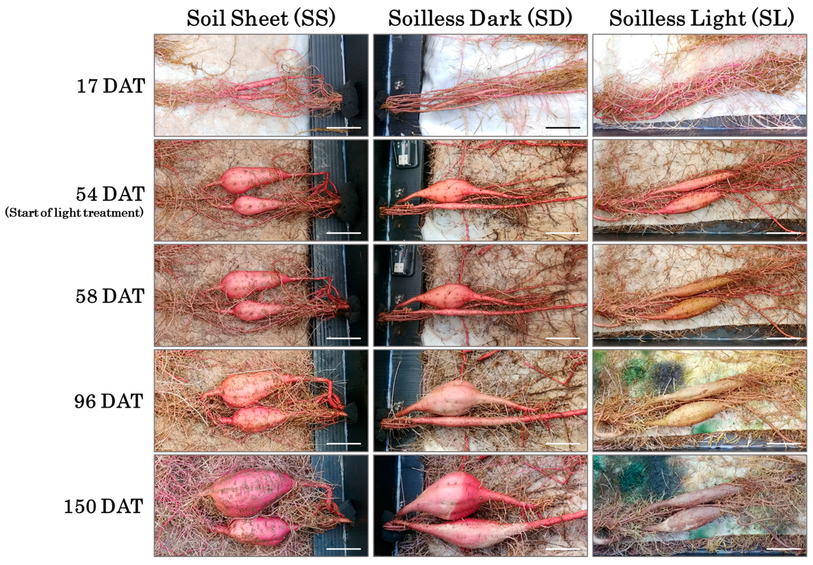 Agriengineering 06 00222 g003