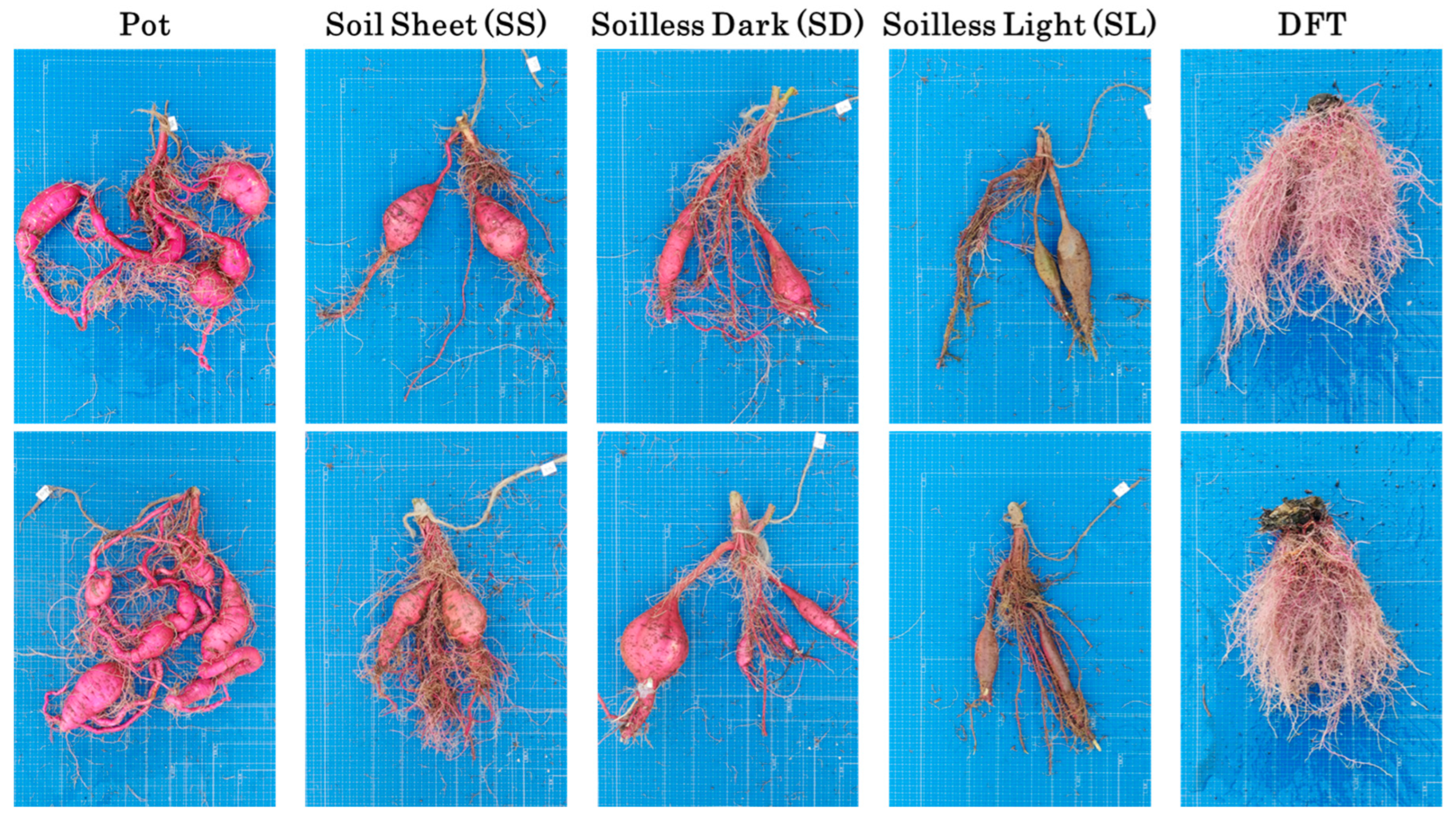 Agriengineering 06 00222 g006