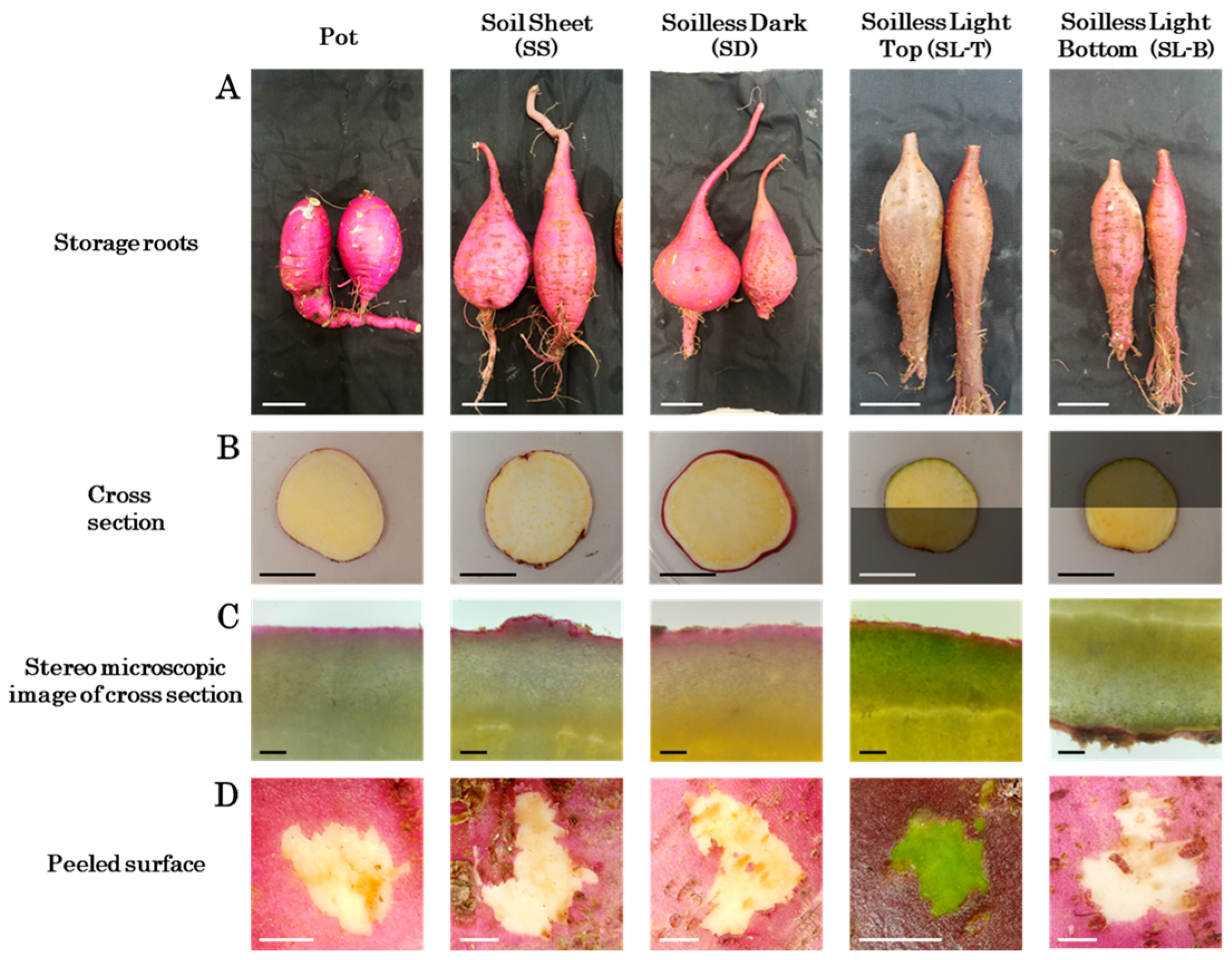 Agriengineering 06 00222 g009