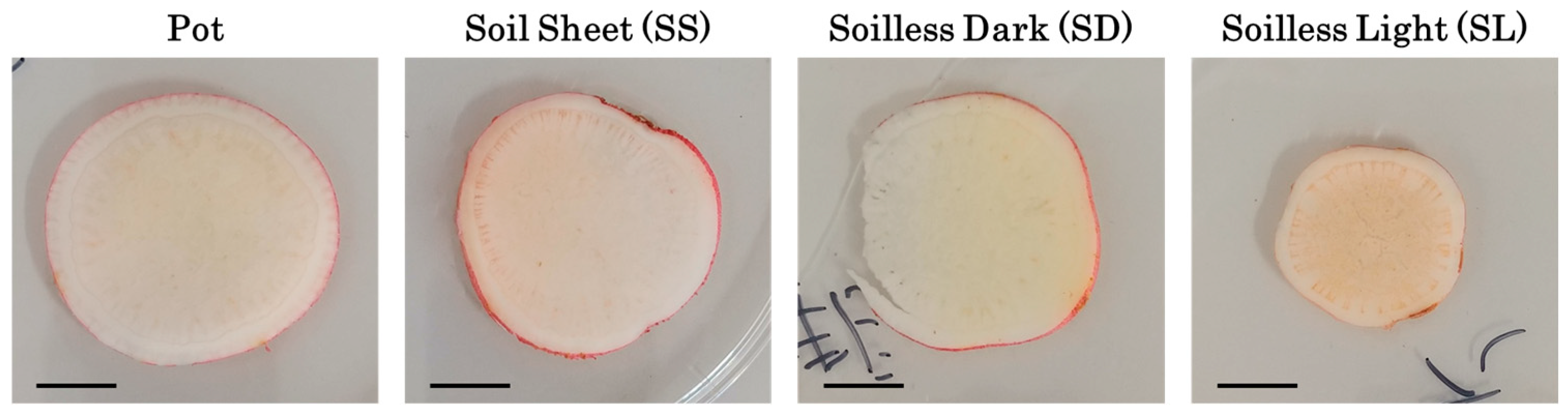 Agriengineering 06 00222 g011