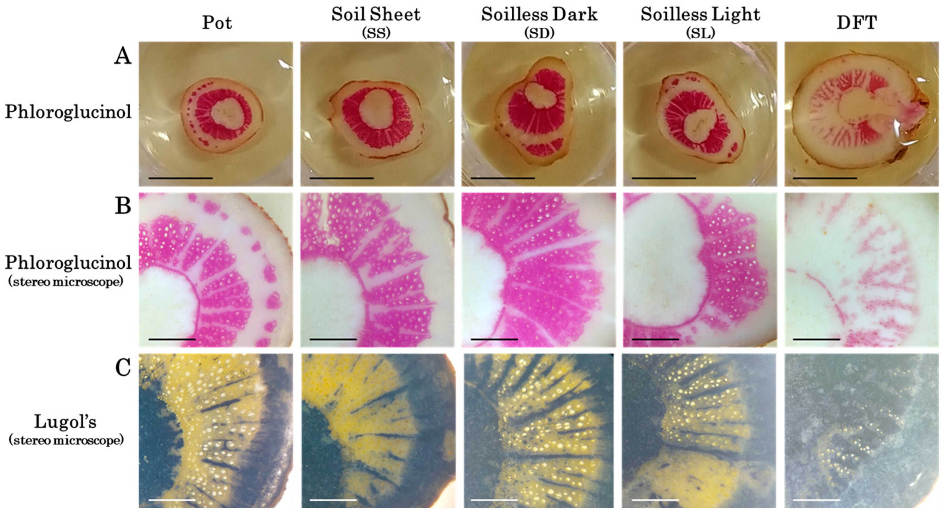 Agriengineering 06 00222 g013