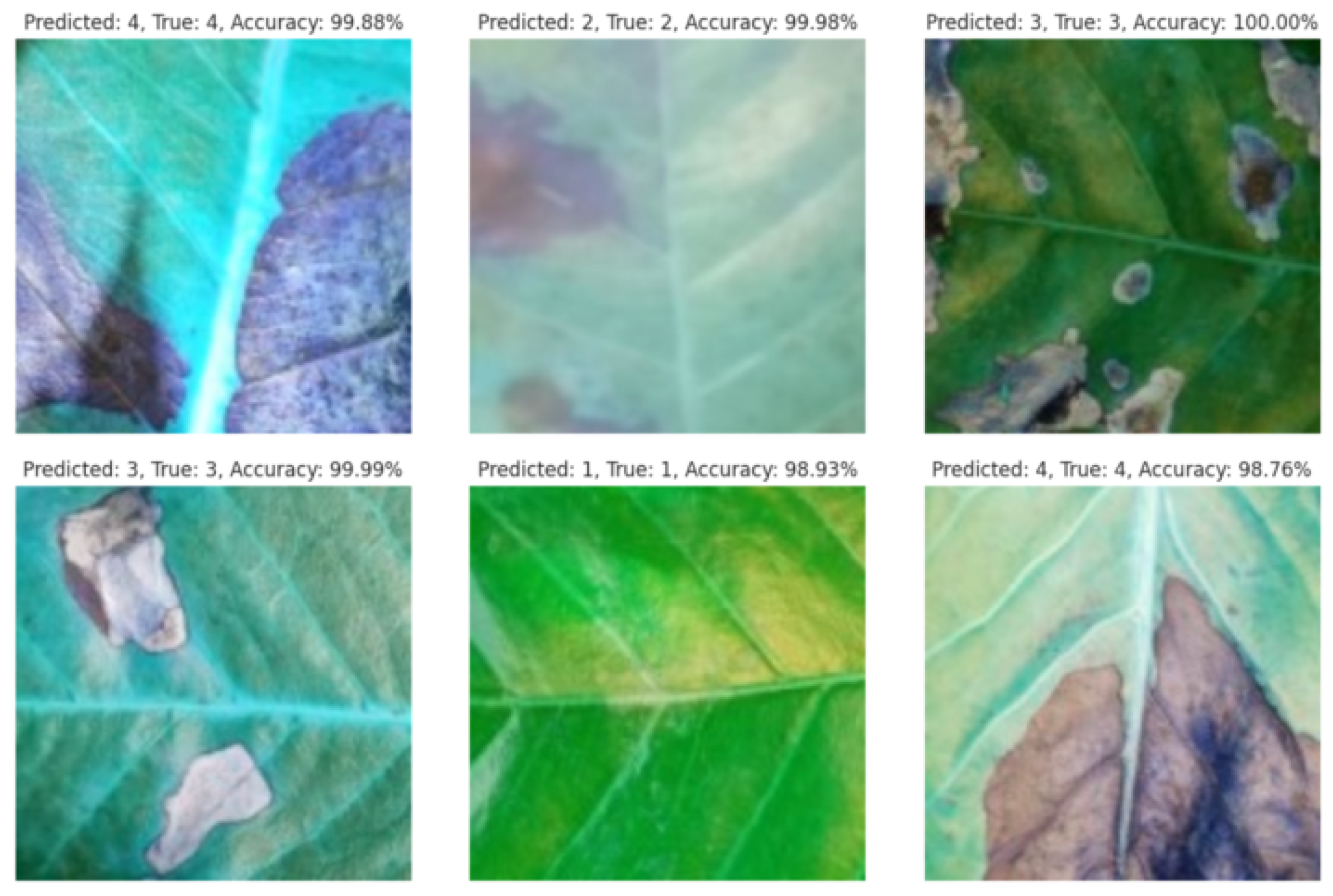 Agriengineering 07 00013 g013