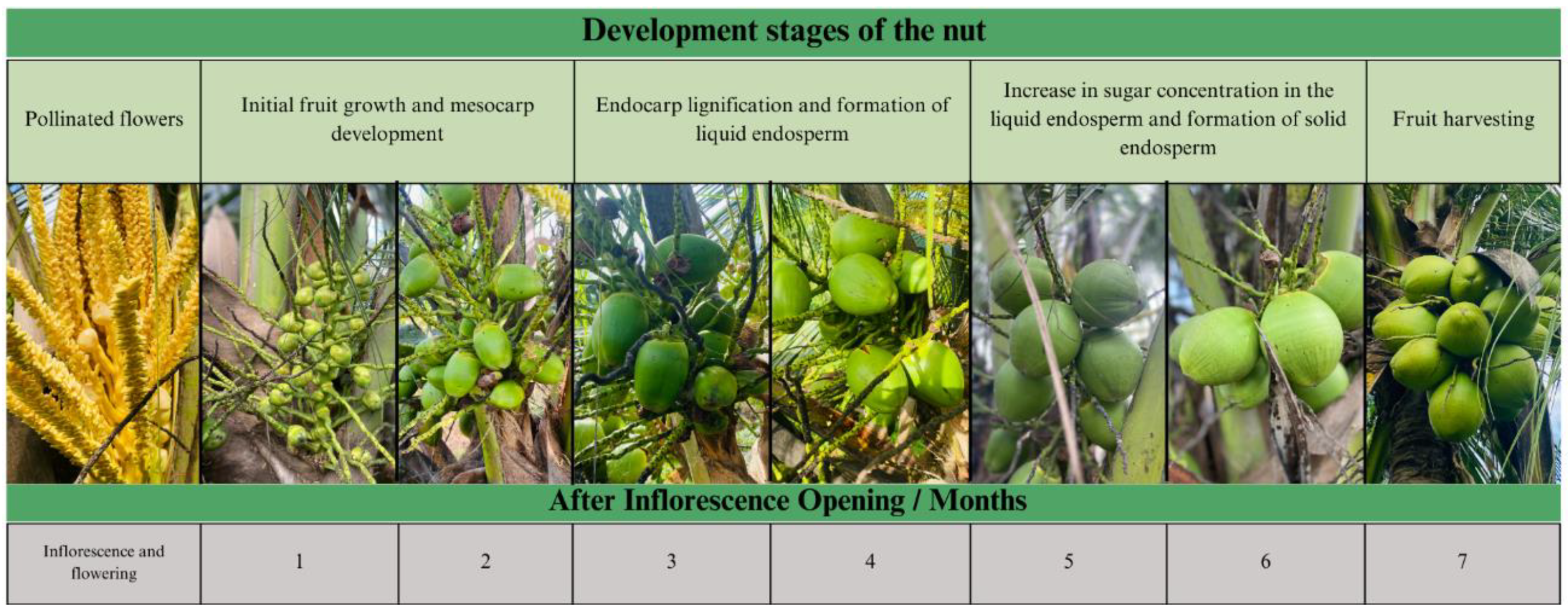 Agriengineering 07 00033 g002