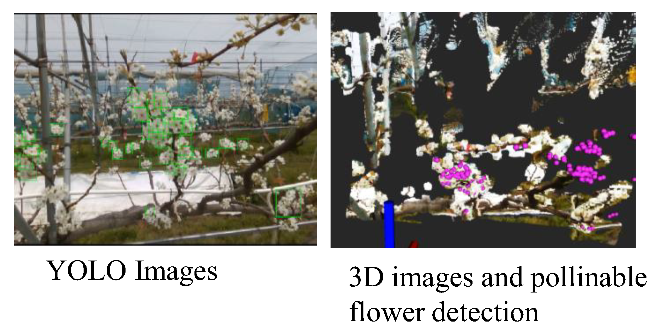 Agriengineering 07 00068 g016