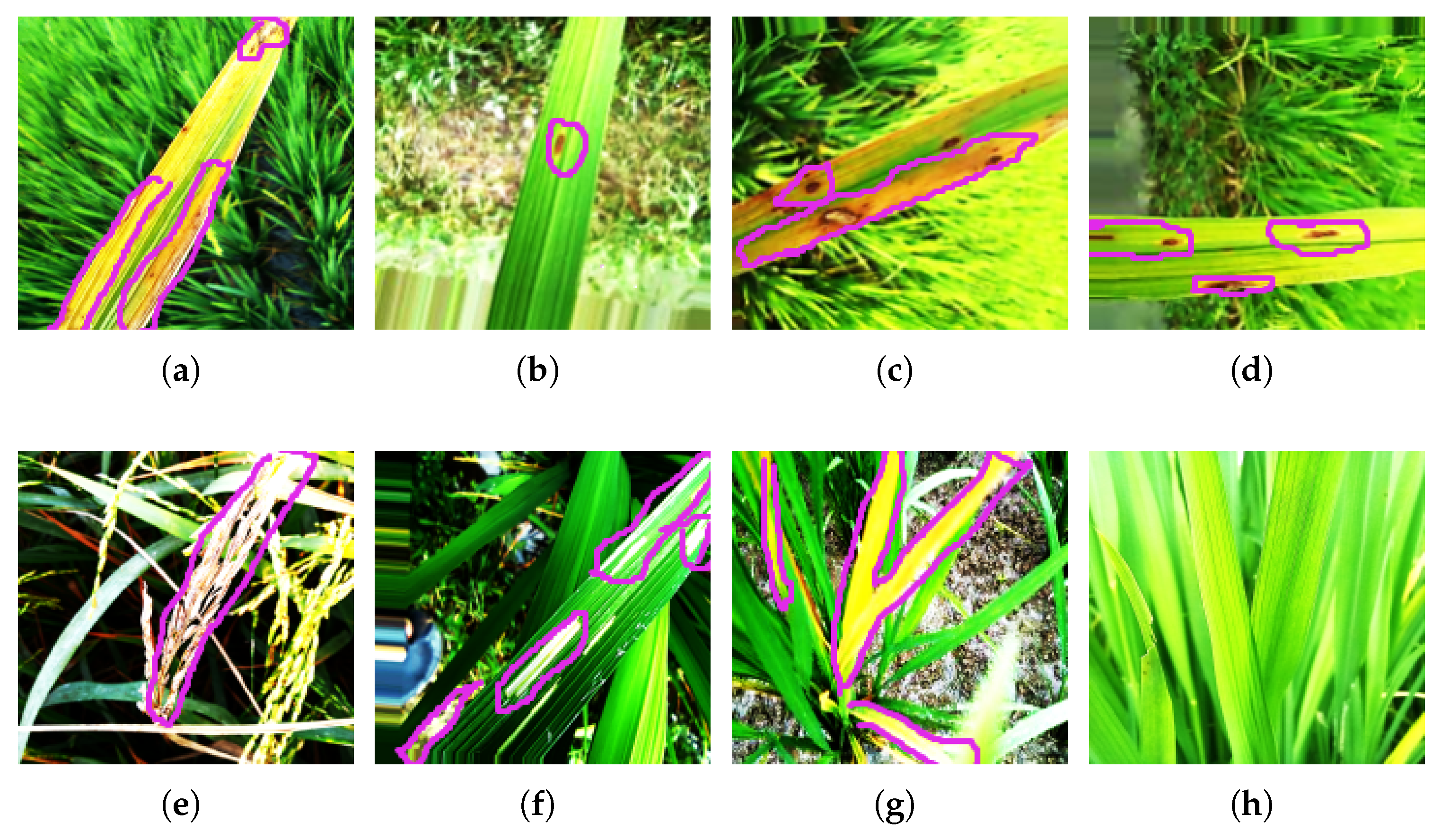 Agriengineering 07 00268 g002 Agriengineering 07 00268 g002