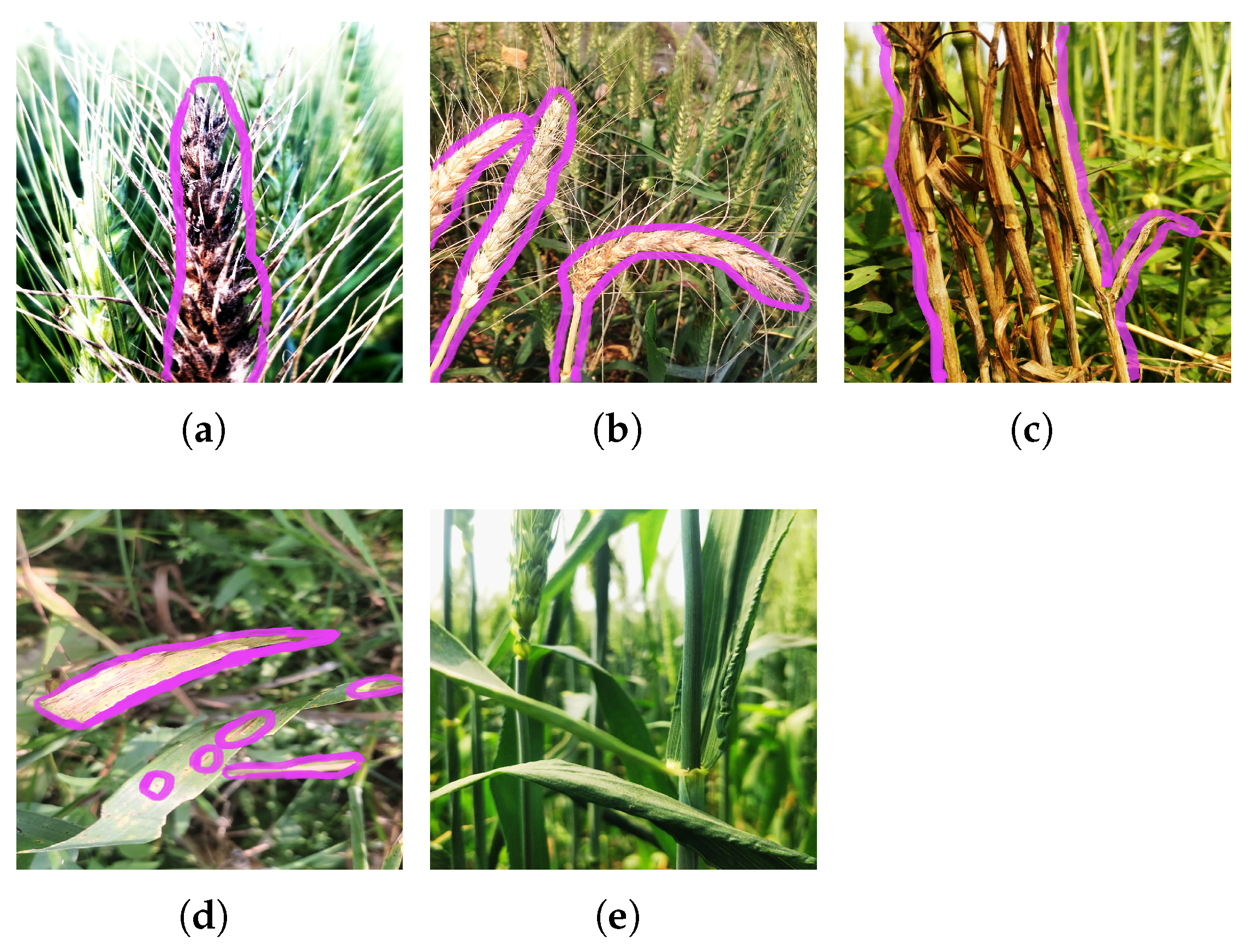 Agriengineering 07 00268 g003 Agriengineering 07 00268 g003