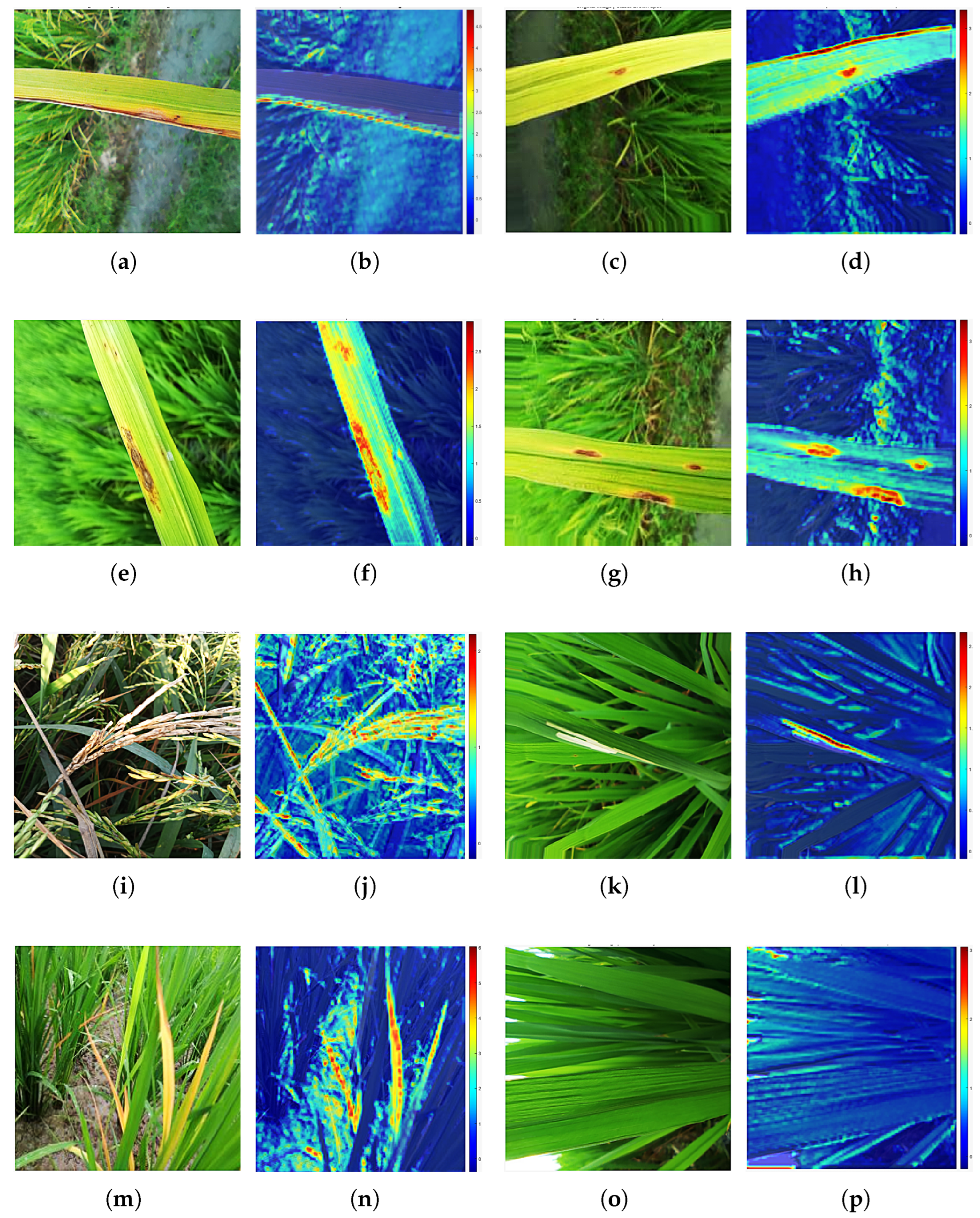 Agriengineering 07 00268 g008 Agriengineering 07 00268 g008
