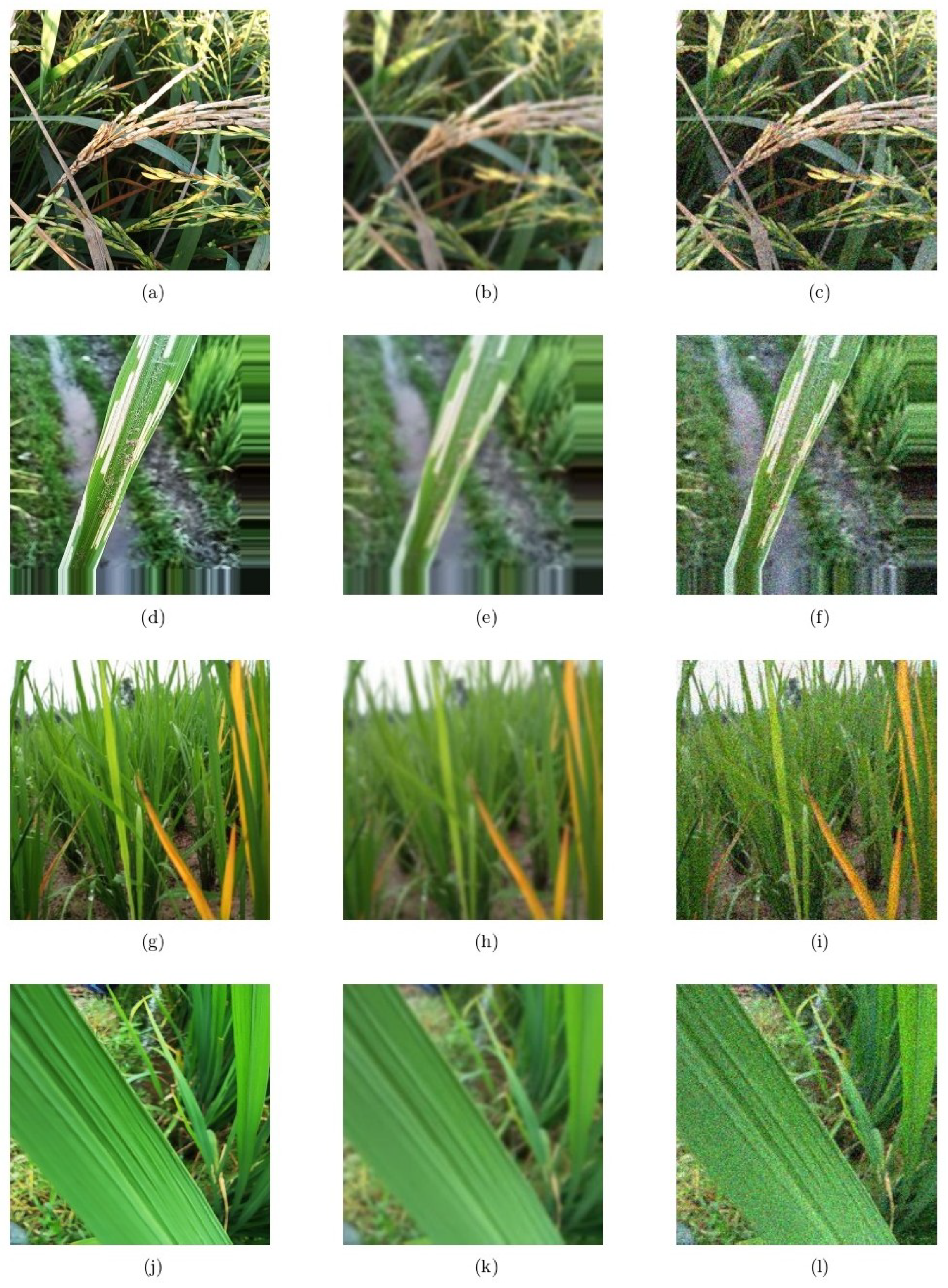 Agriengineering 07 00268 g012 Agriengineering 07 00268 g012