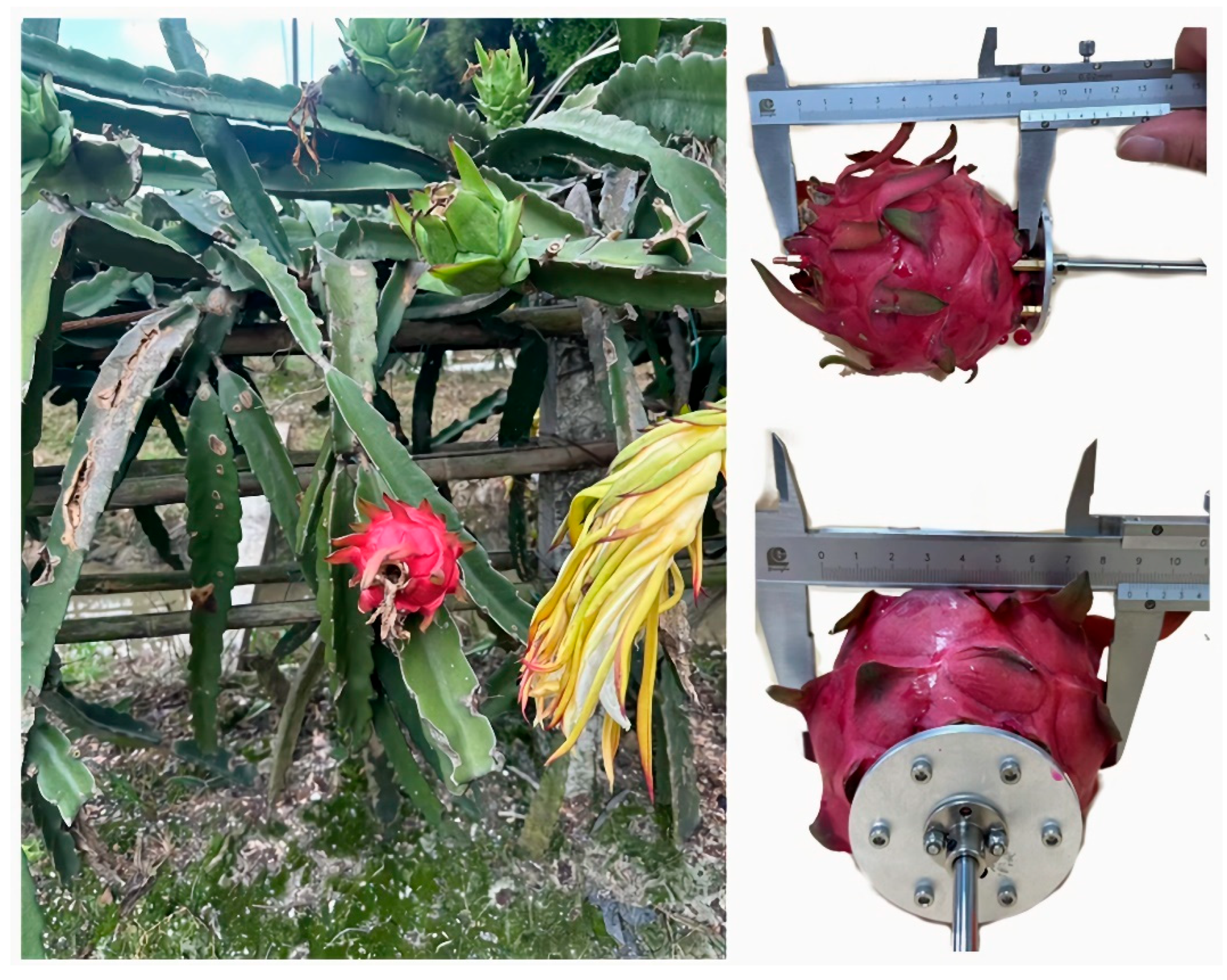 Agriengineering 07 00327 g001 Agriengineering 07 00327 g001