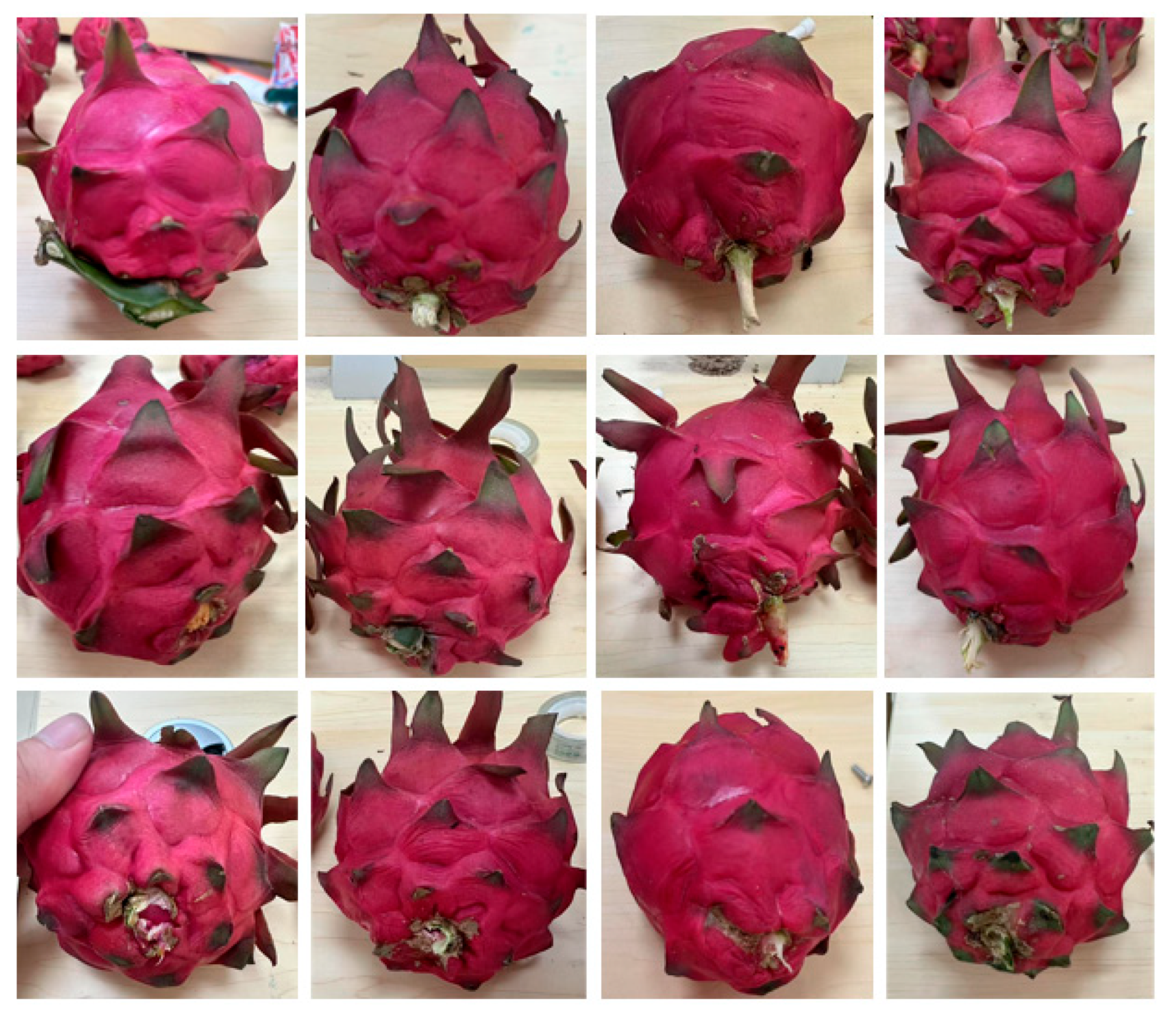 Agriengineering 07 00327 g012 Agriengineering 07 00327 g012