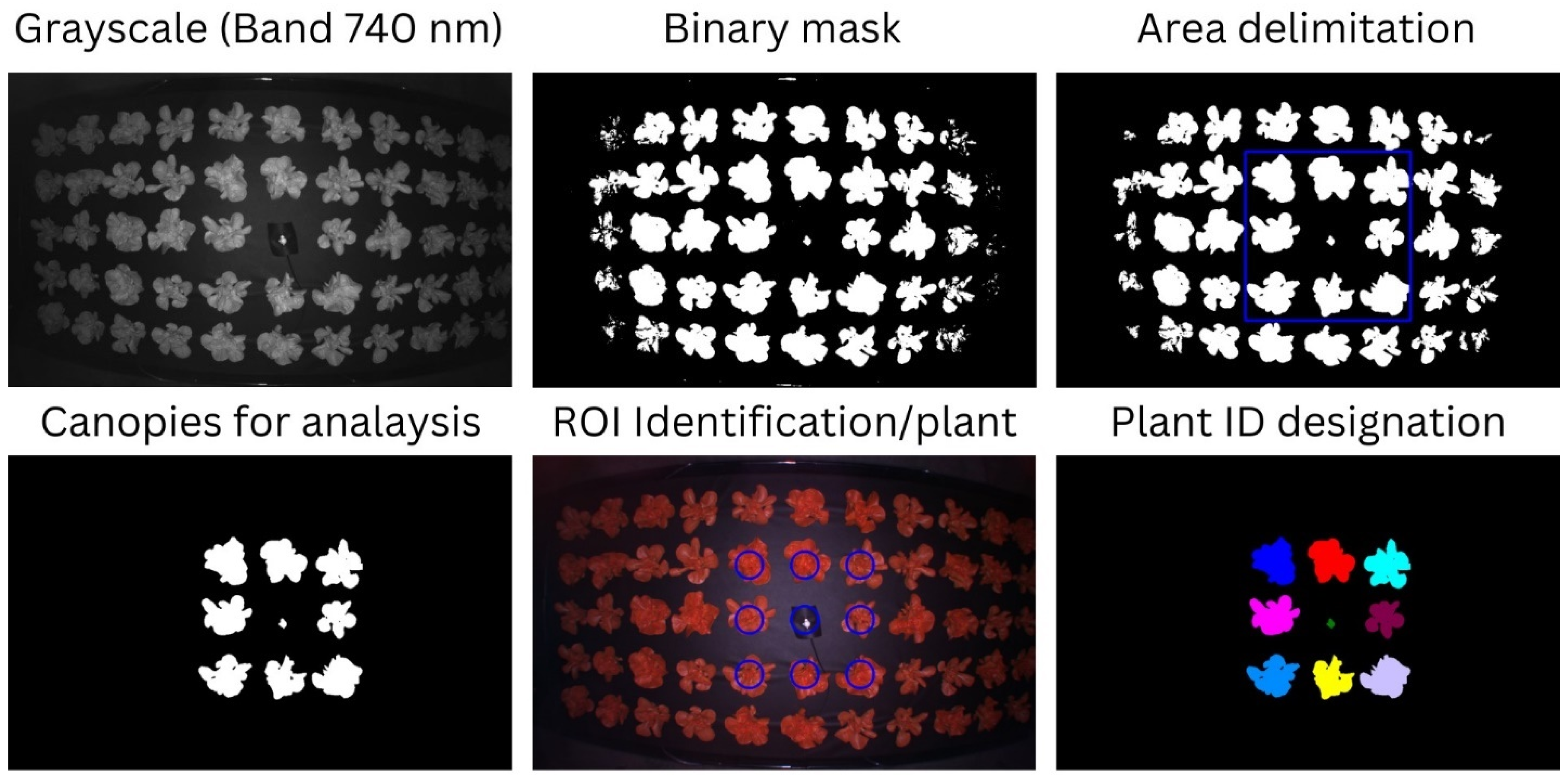 Agriengineering 07 00328 g004 Agriengineering 07 00328 g004