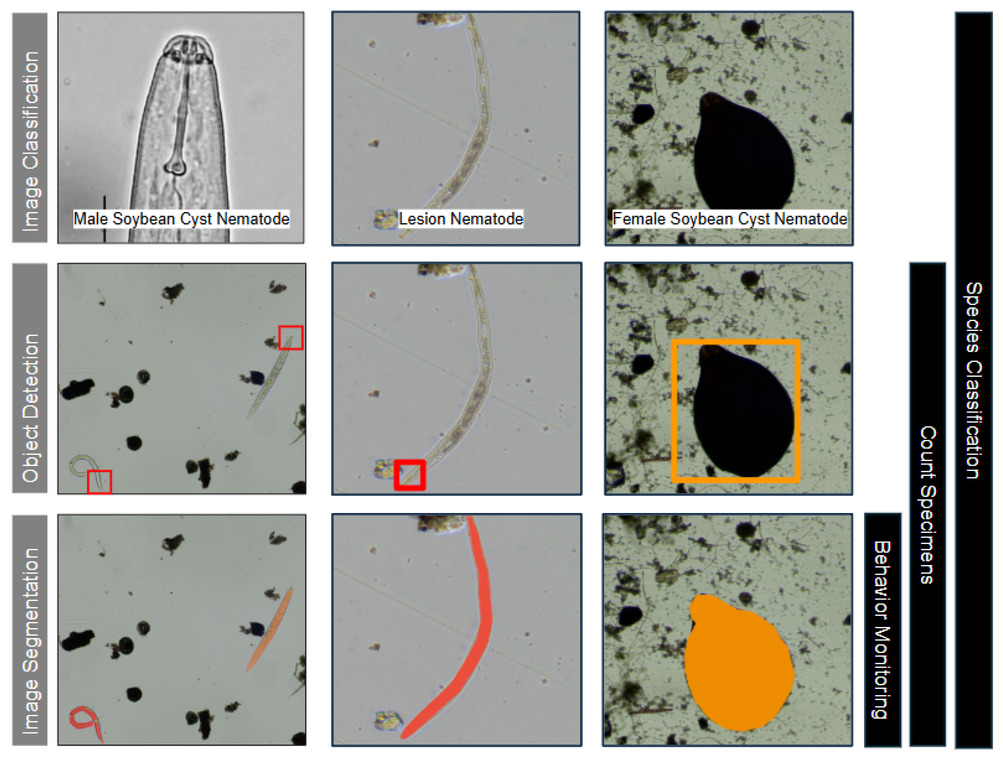 Agriengineering 07 00356 g001 Agriengineering 07 00356 g001