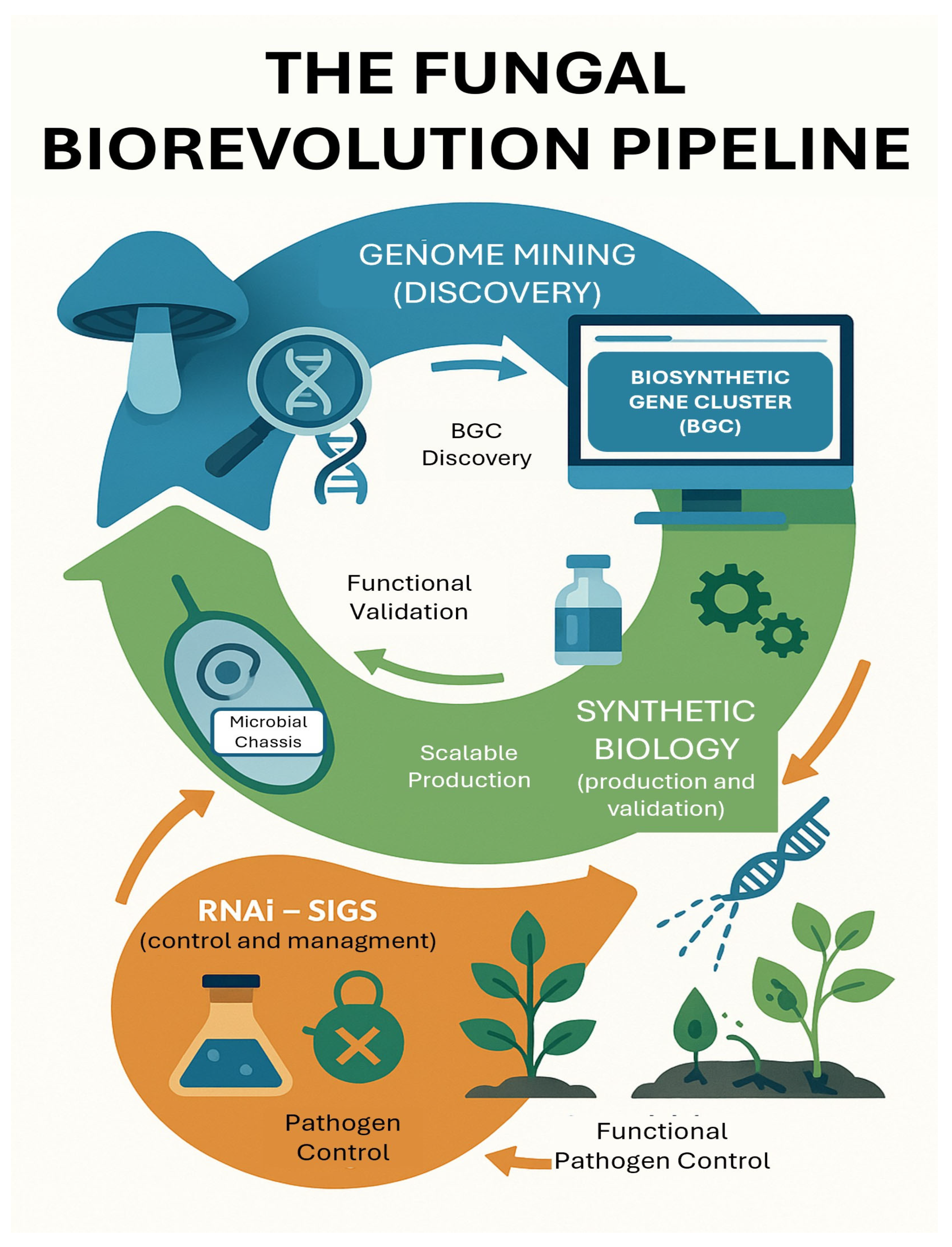 Agrochemicals 04 00018 g001 Agrochemicals 04 00018 g001