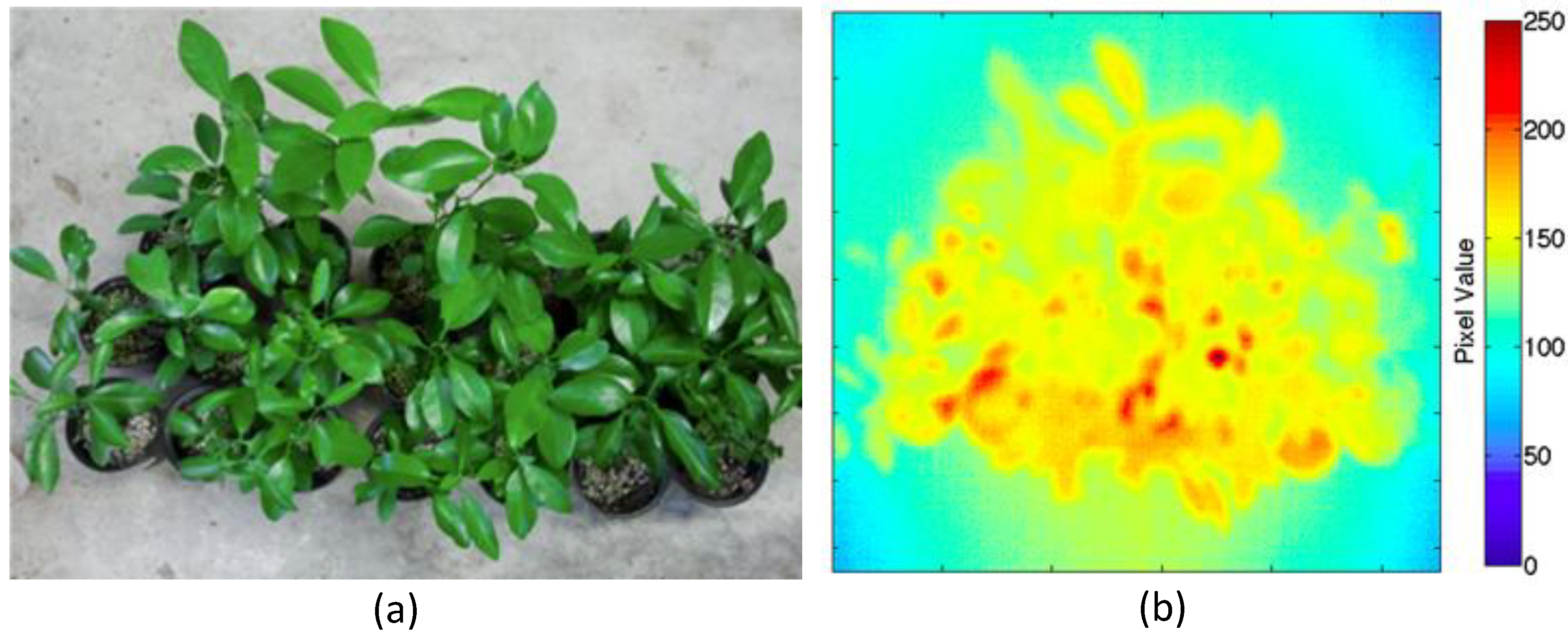 Agronomy 03 00747 g002