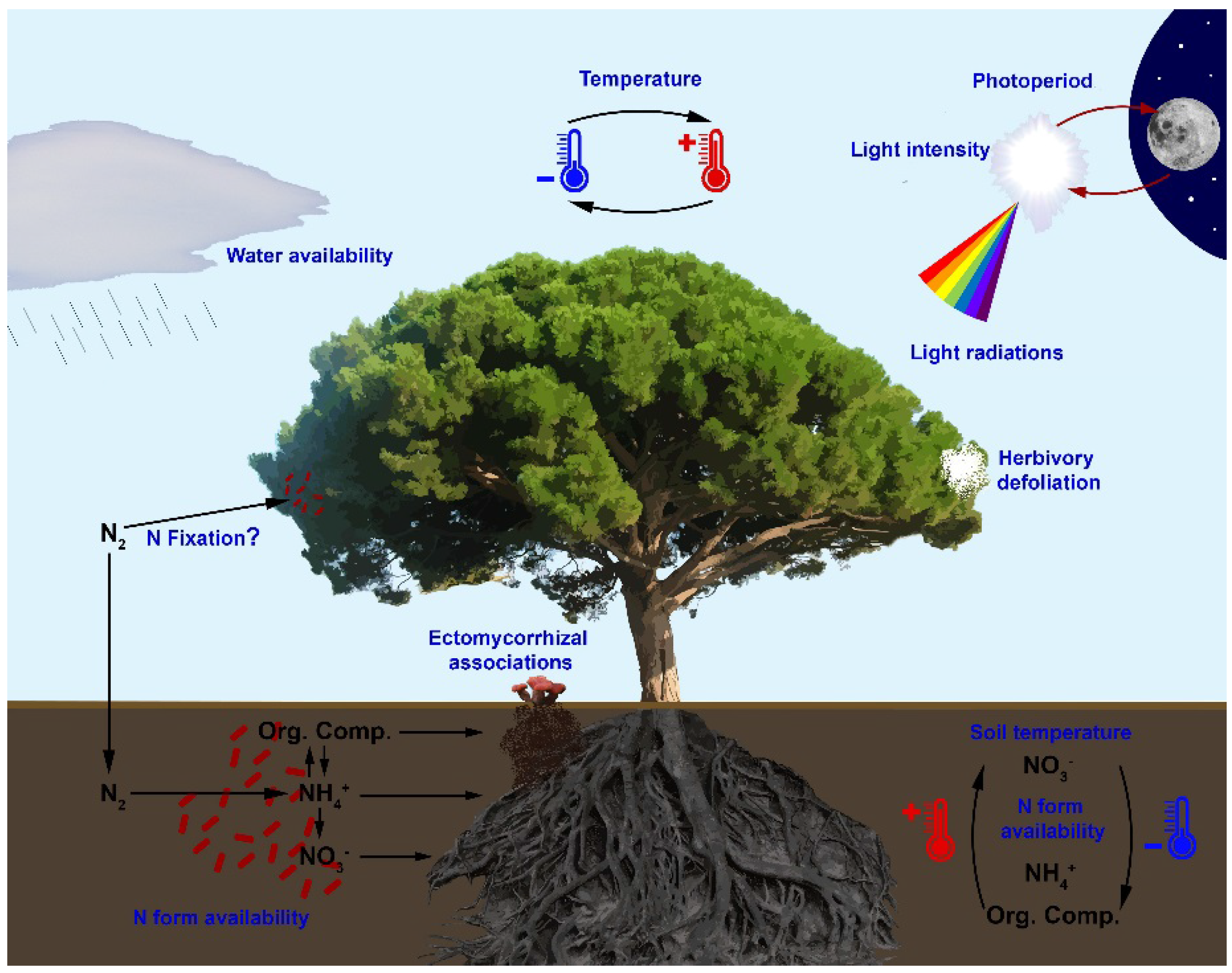 Agronomy 06 00026 g003