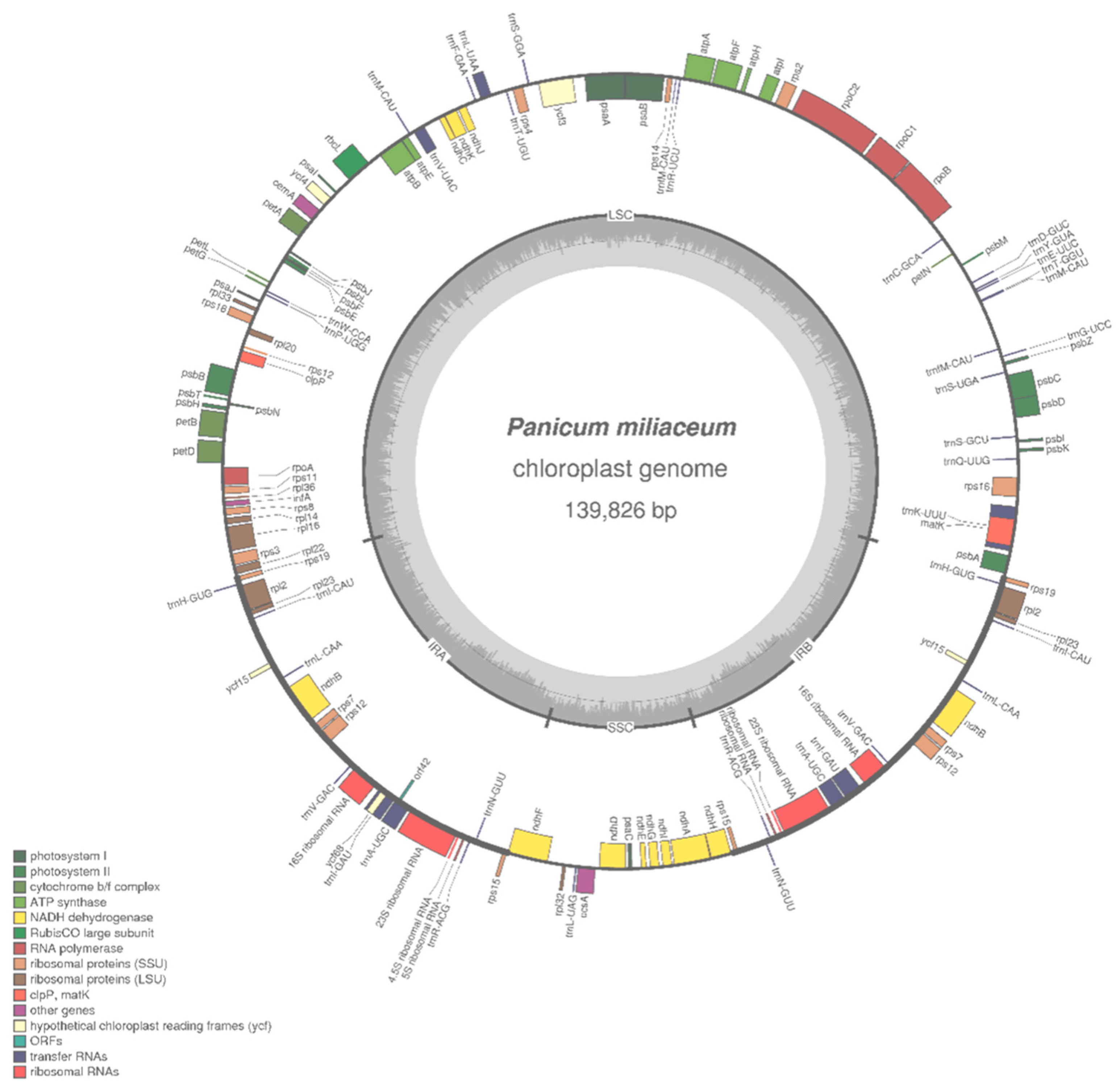 Agronomy 08 00159 g001 Agronomy 08 00159 g001