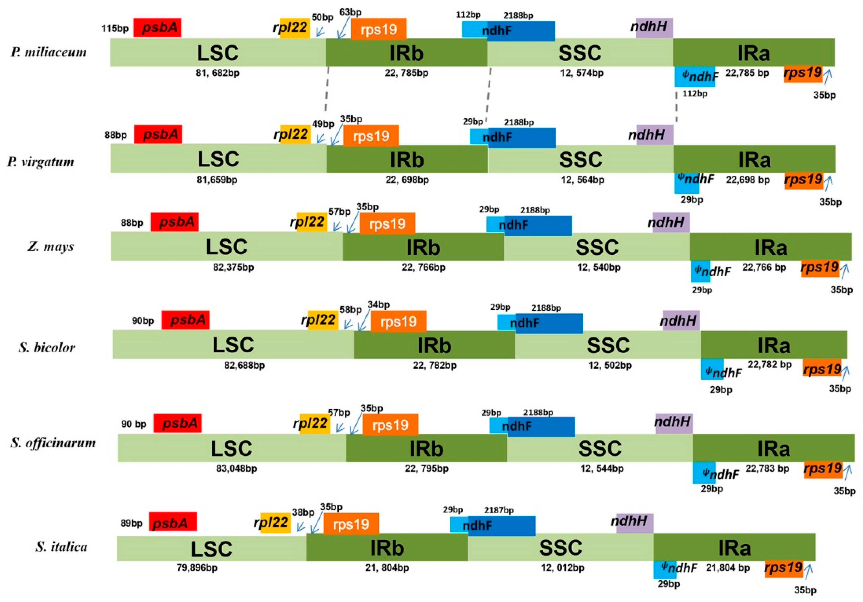 Agronomy 08 00159 g002 Agronomy 08 00159 g002