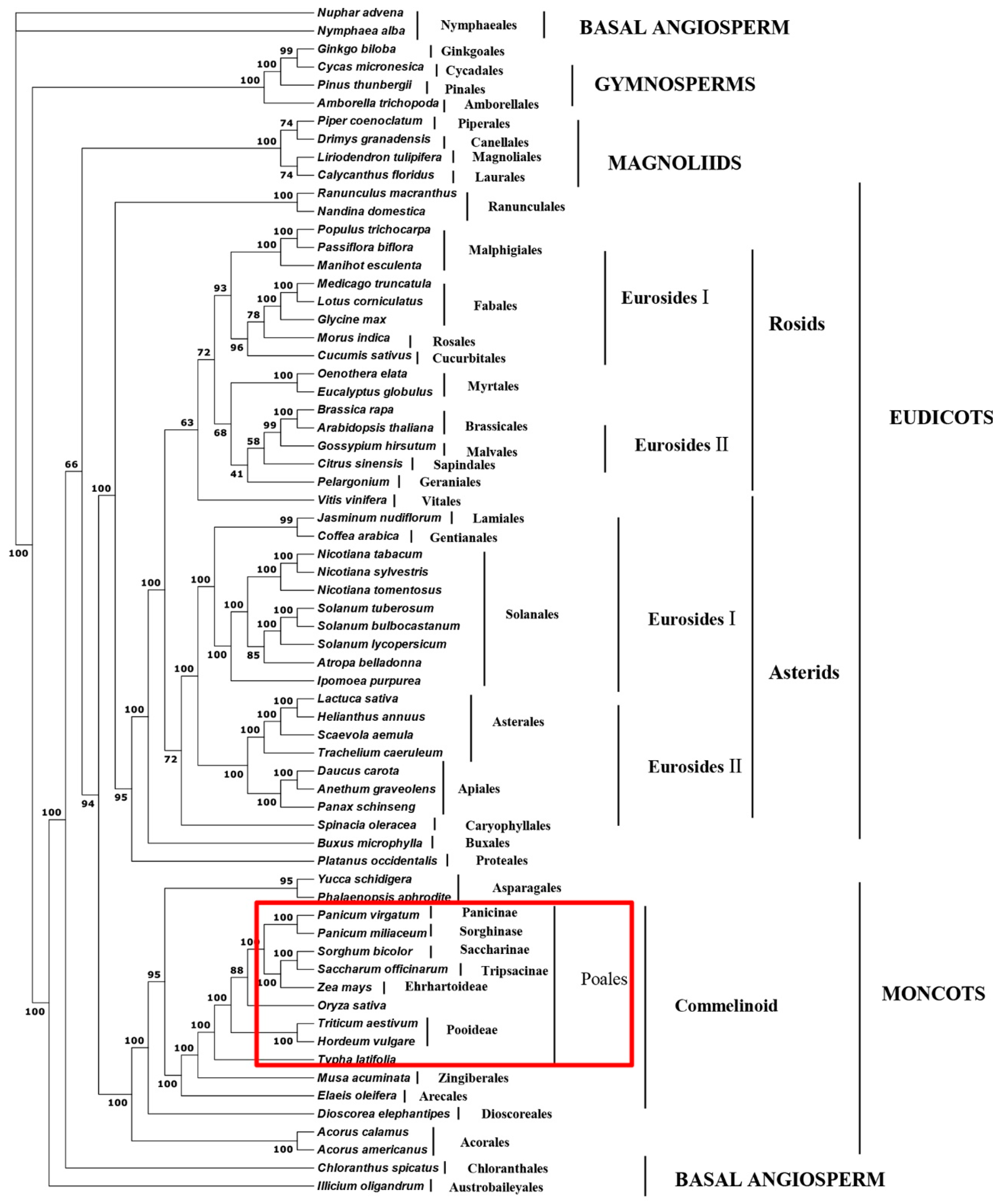 Agronomy 08 00159 g006 Agronomy 08 00159 g006