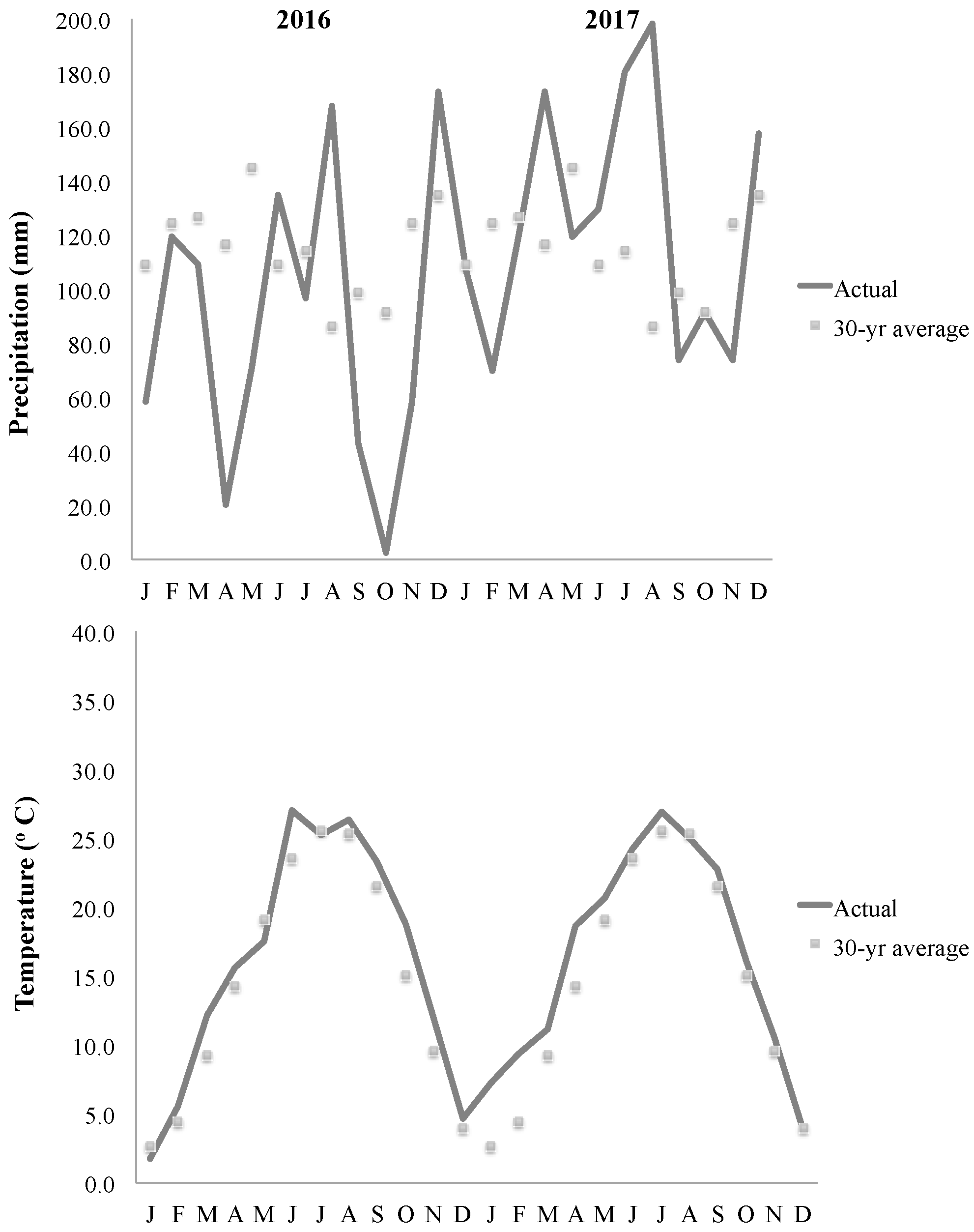 PDF) Effects of row spacing and intercrop on maize grain yield and forage  production of palisade grass