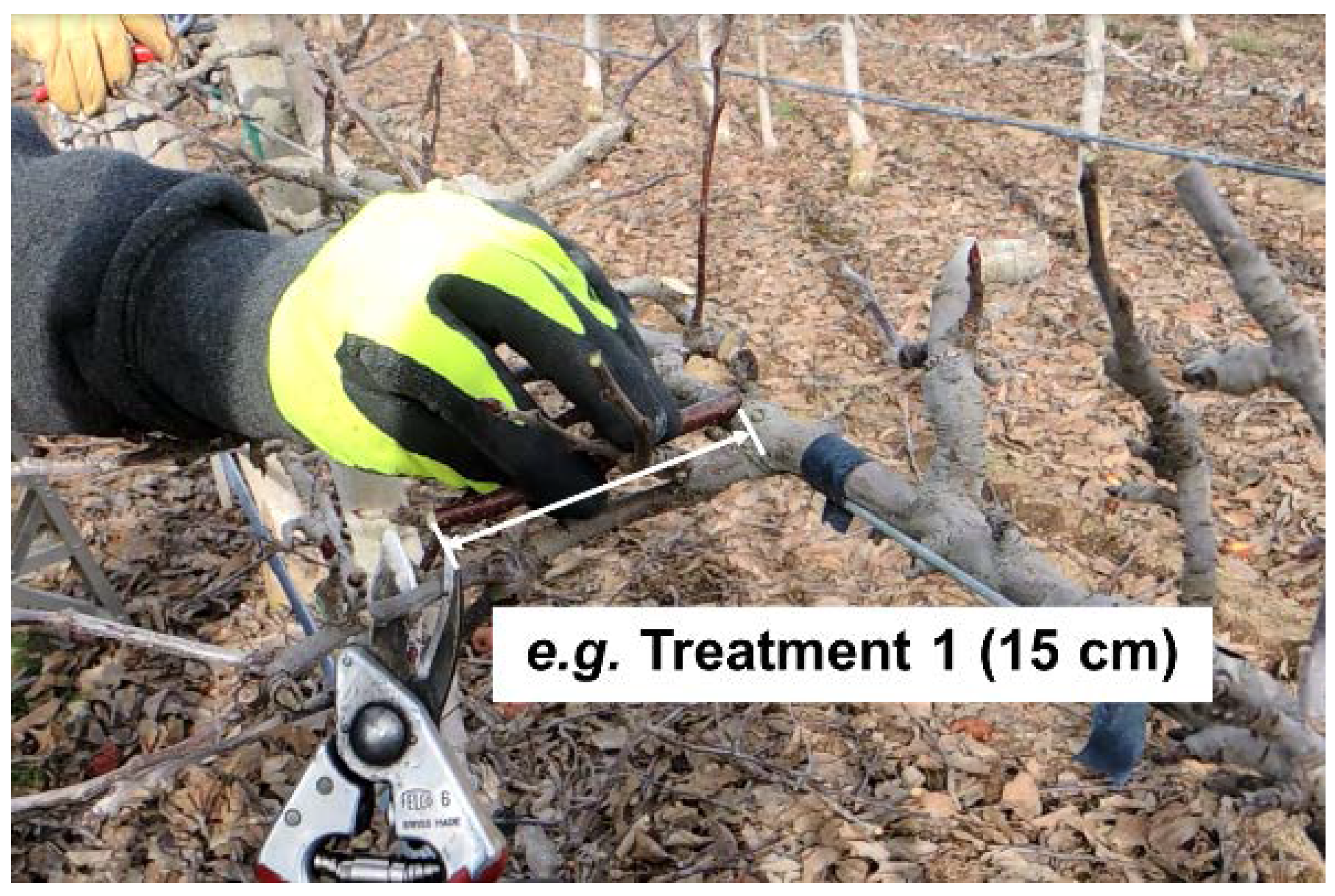 PDF] Developing a new design of wood chopper for grape vine and fruit tree  pruning and the results of field testing