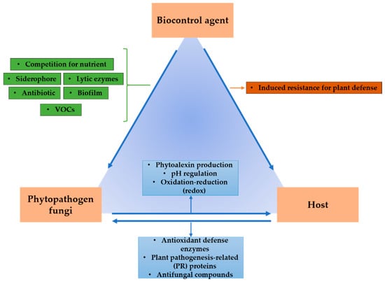 fungal biocontrol agents