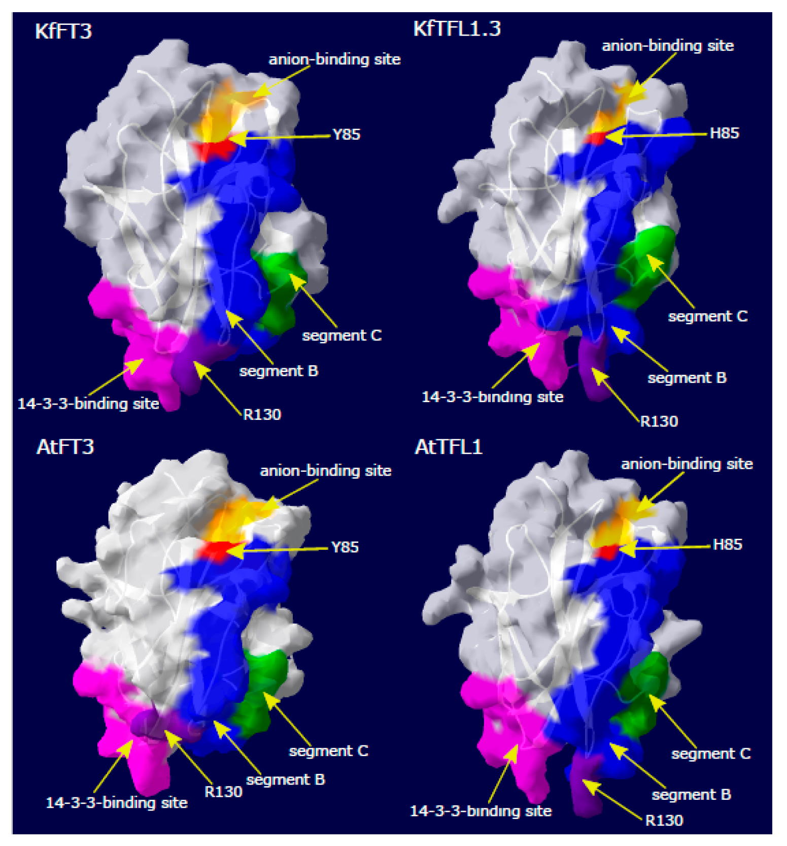 Agronomy 09 00171 g003
