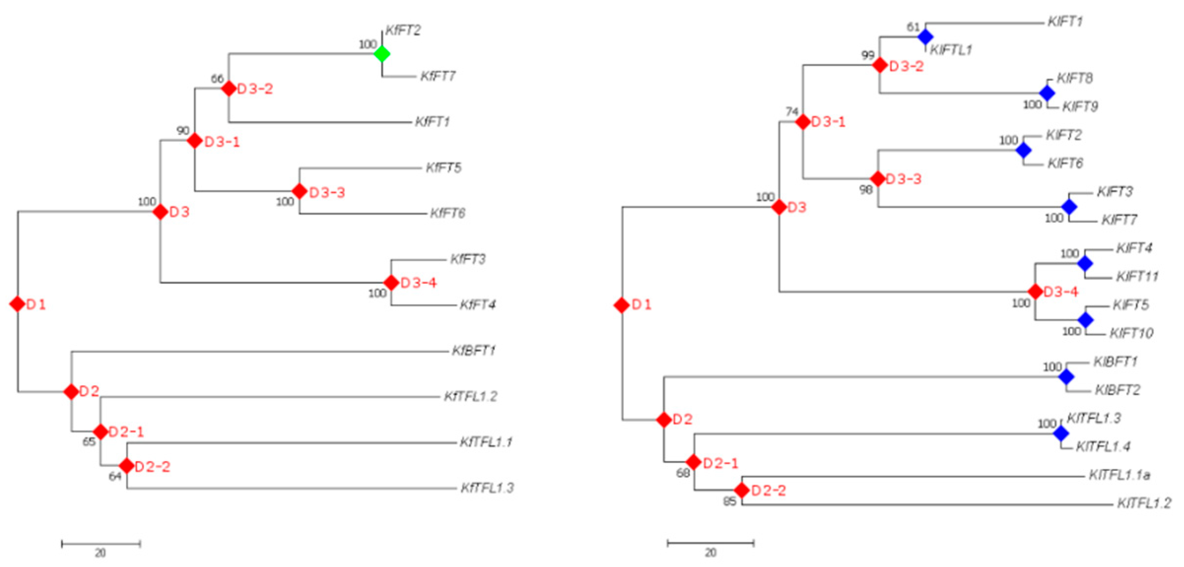 Agronomy 09 00171 g005
