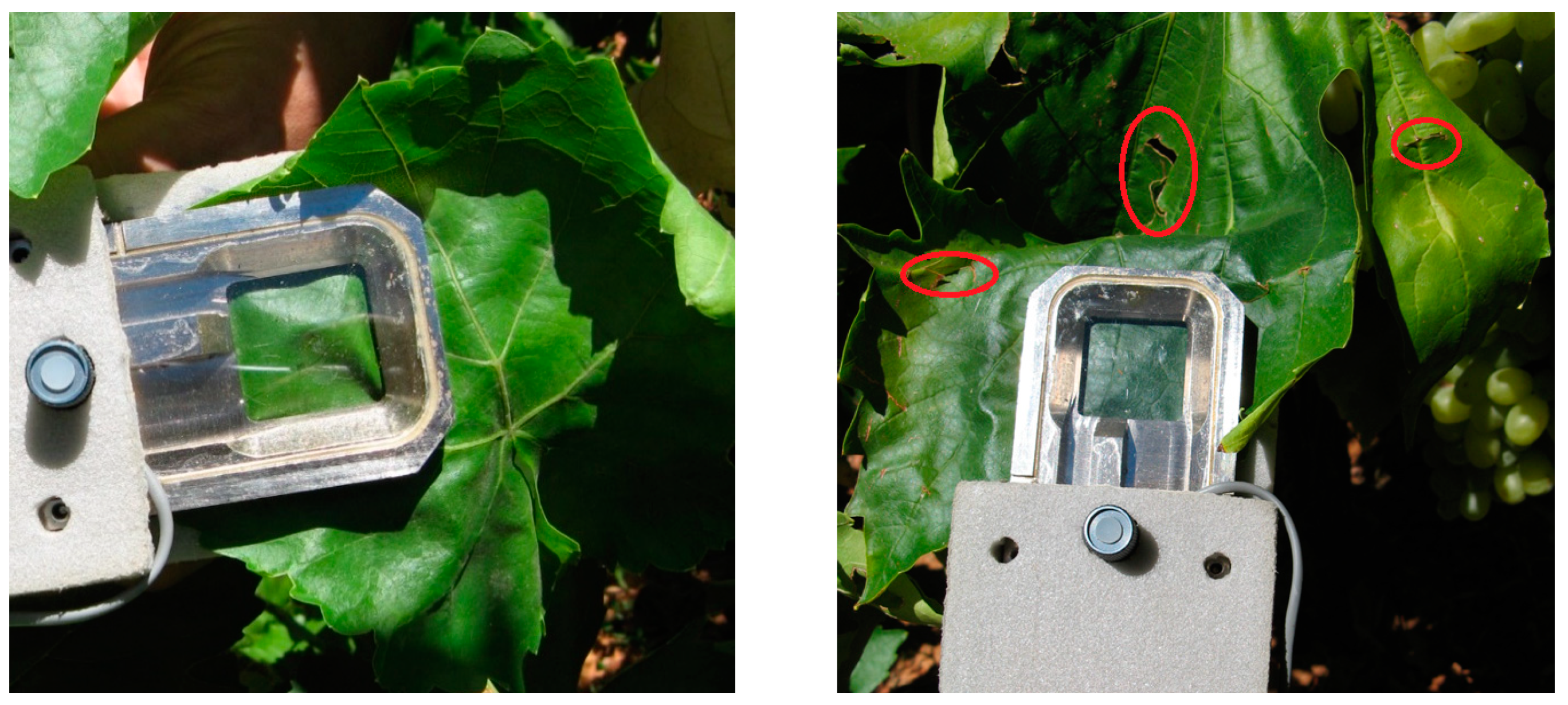 Agronomy 09 00197 g003