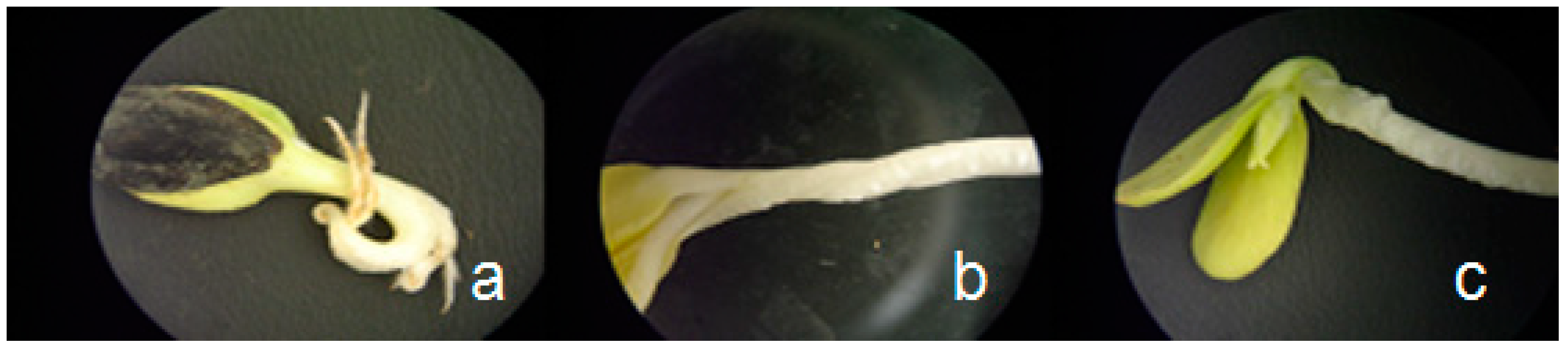 Agronomy 09 00269 g007