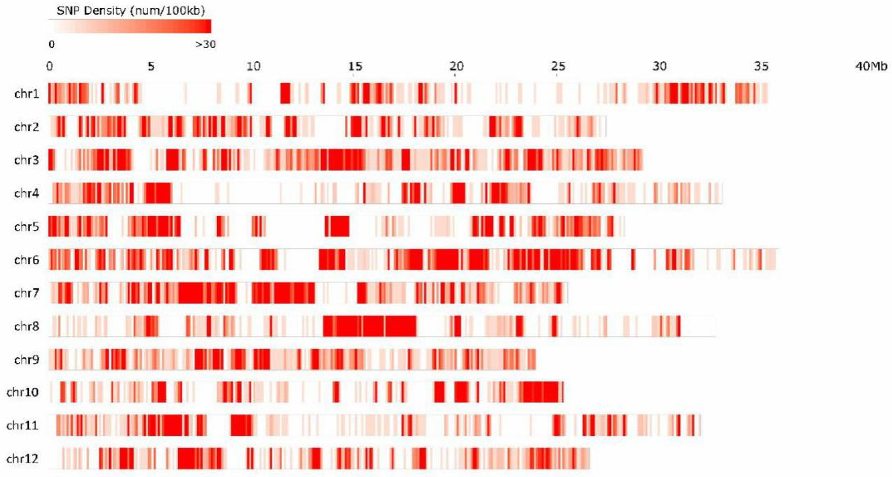 Agronomy 09 00430 g002