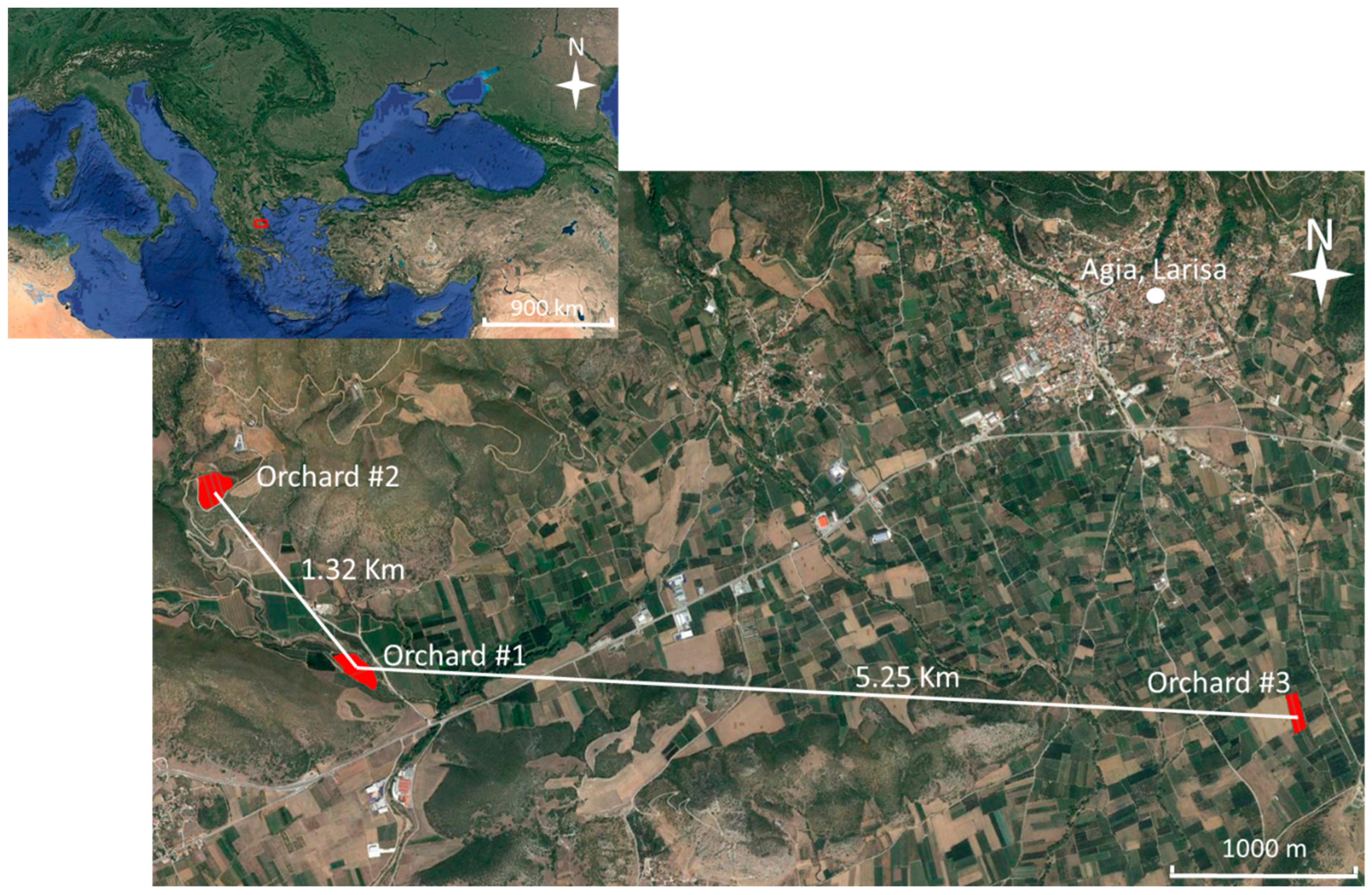 Agronomy 09 00568 g001