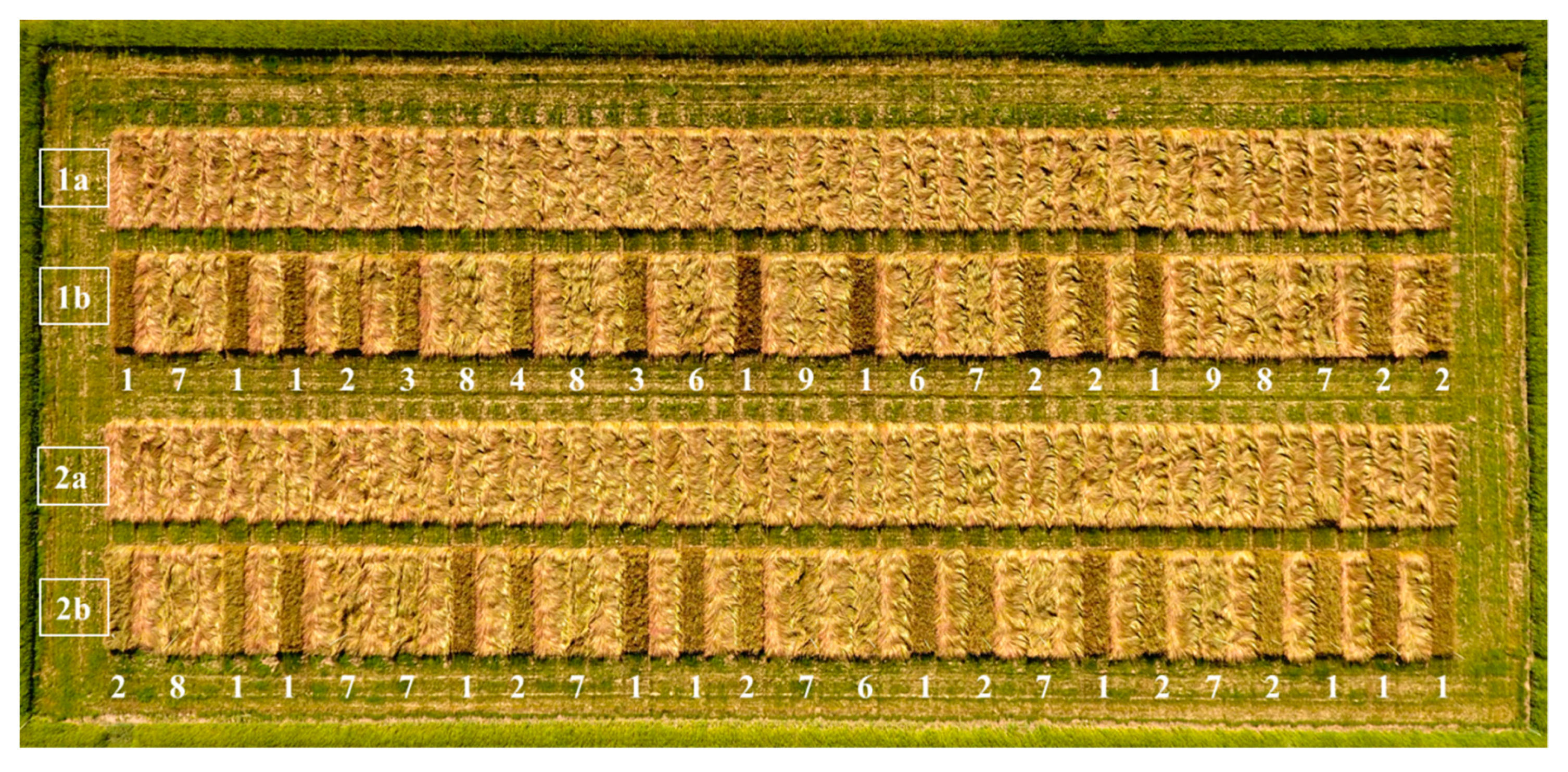 Agronomy 09 00617 g001