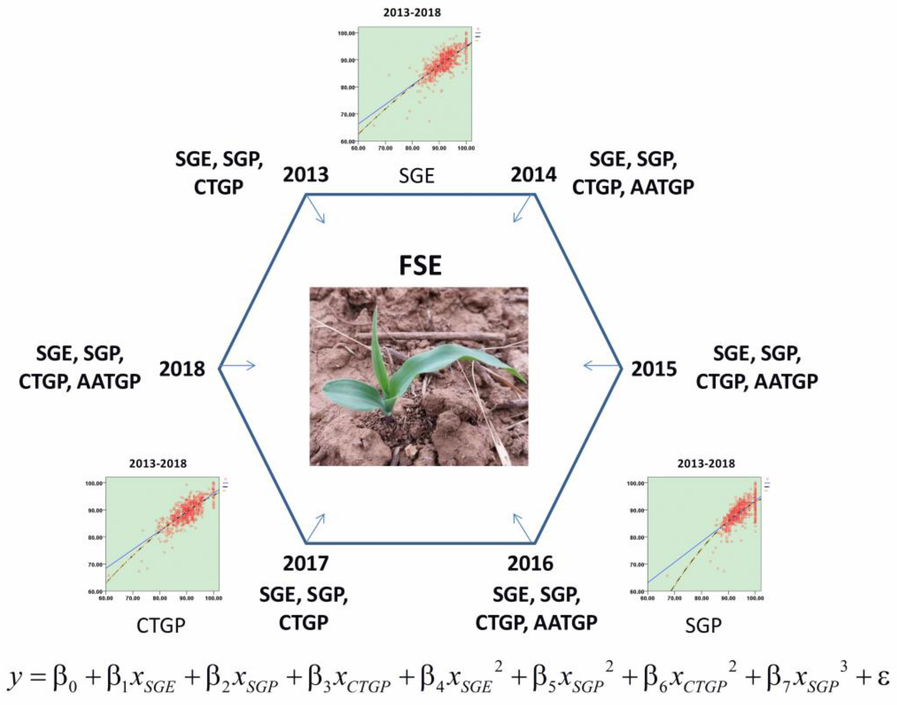 Agronomy 09 00625 g004