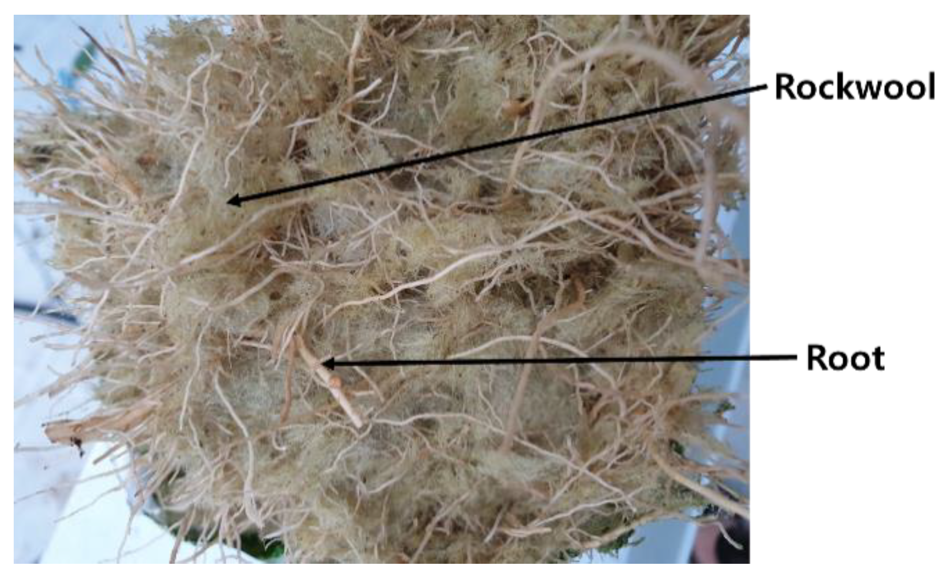 Agronomy 09 00652 g002 Agronomy 09 00652 g002