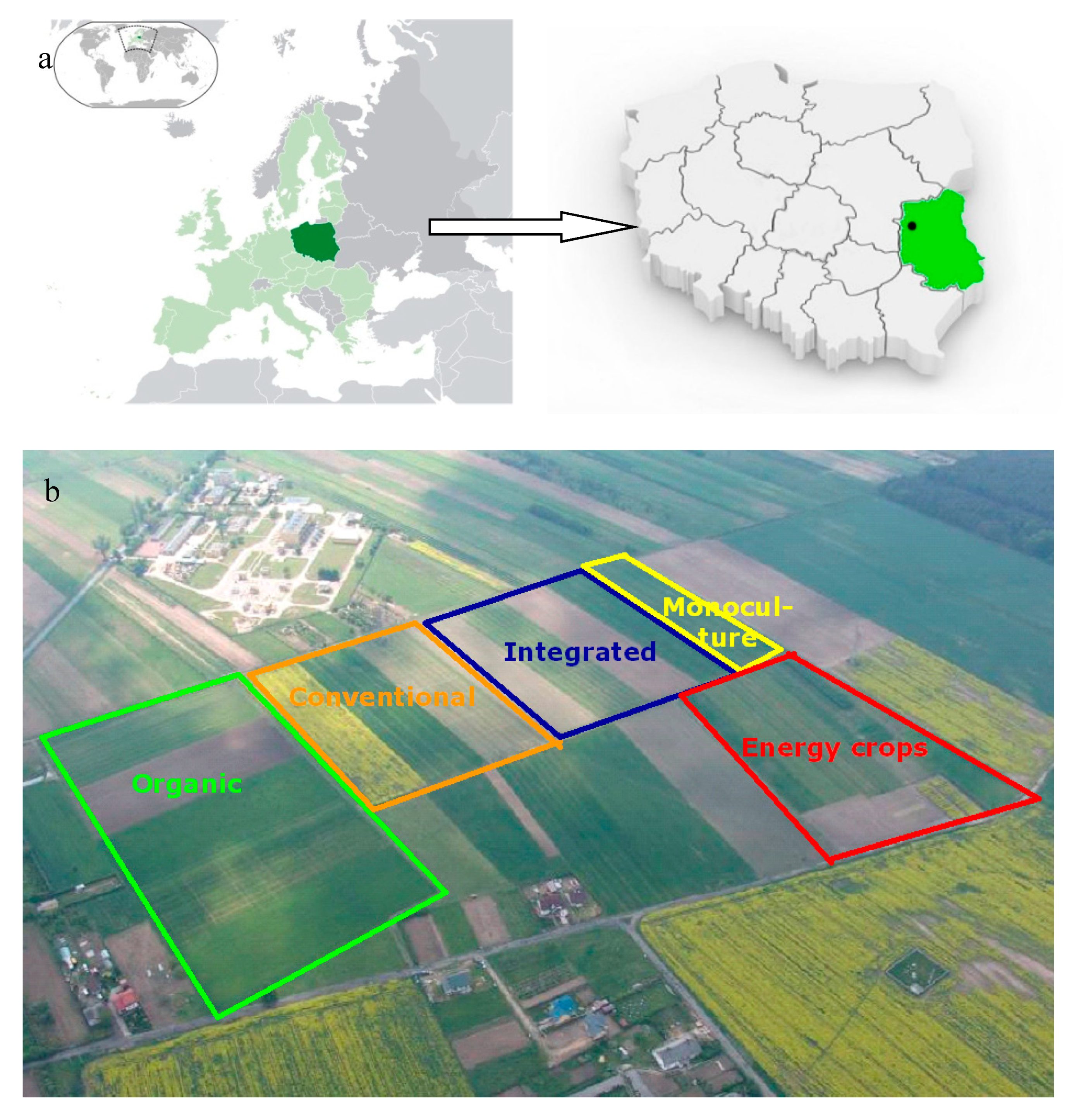 Agronomy 09 00695 g001 Agronomy 09 00695 g001