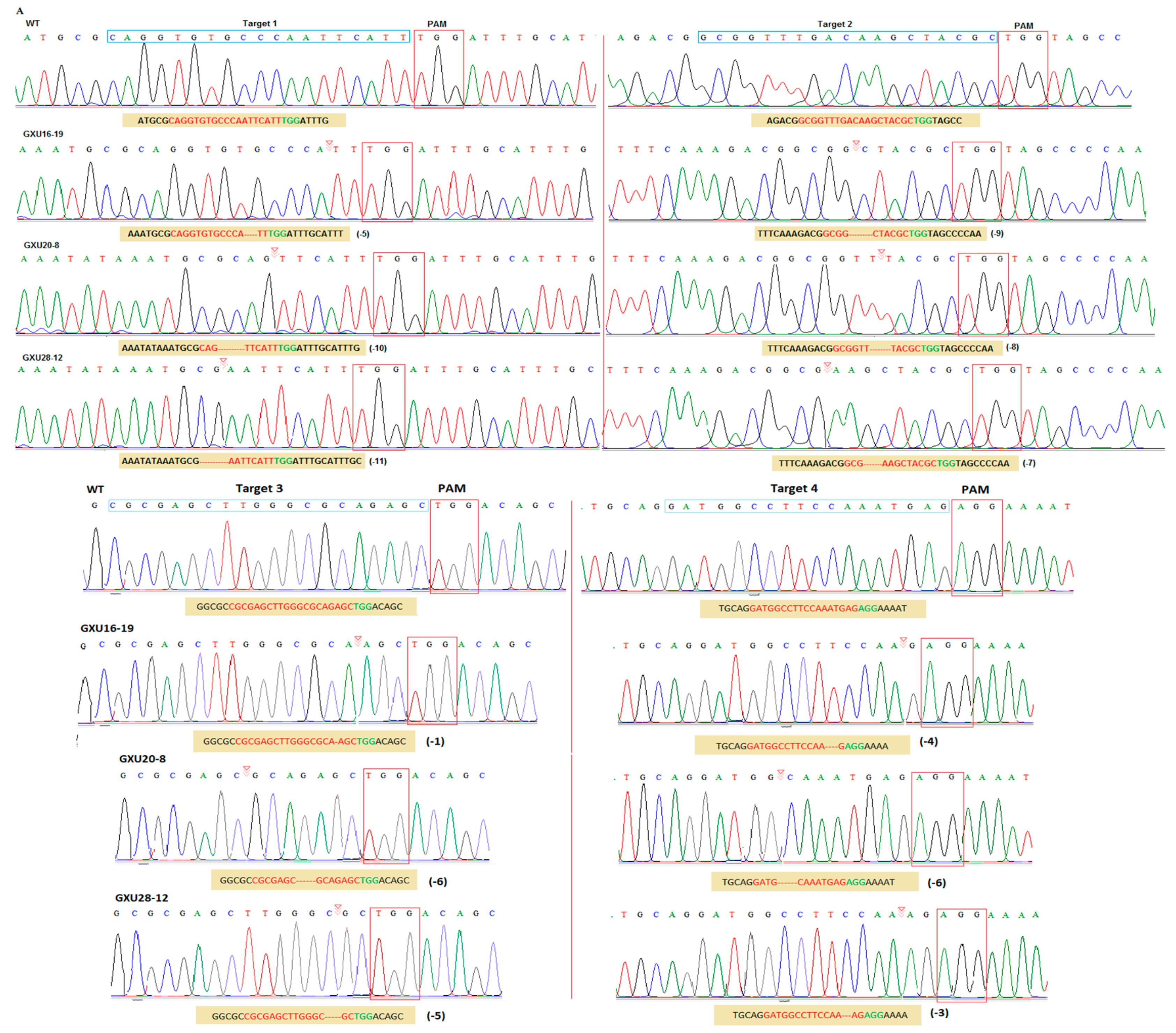 Agronomy 09 00728 g002a Agronomy 09 00728 g002a